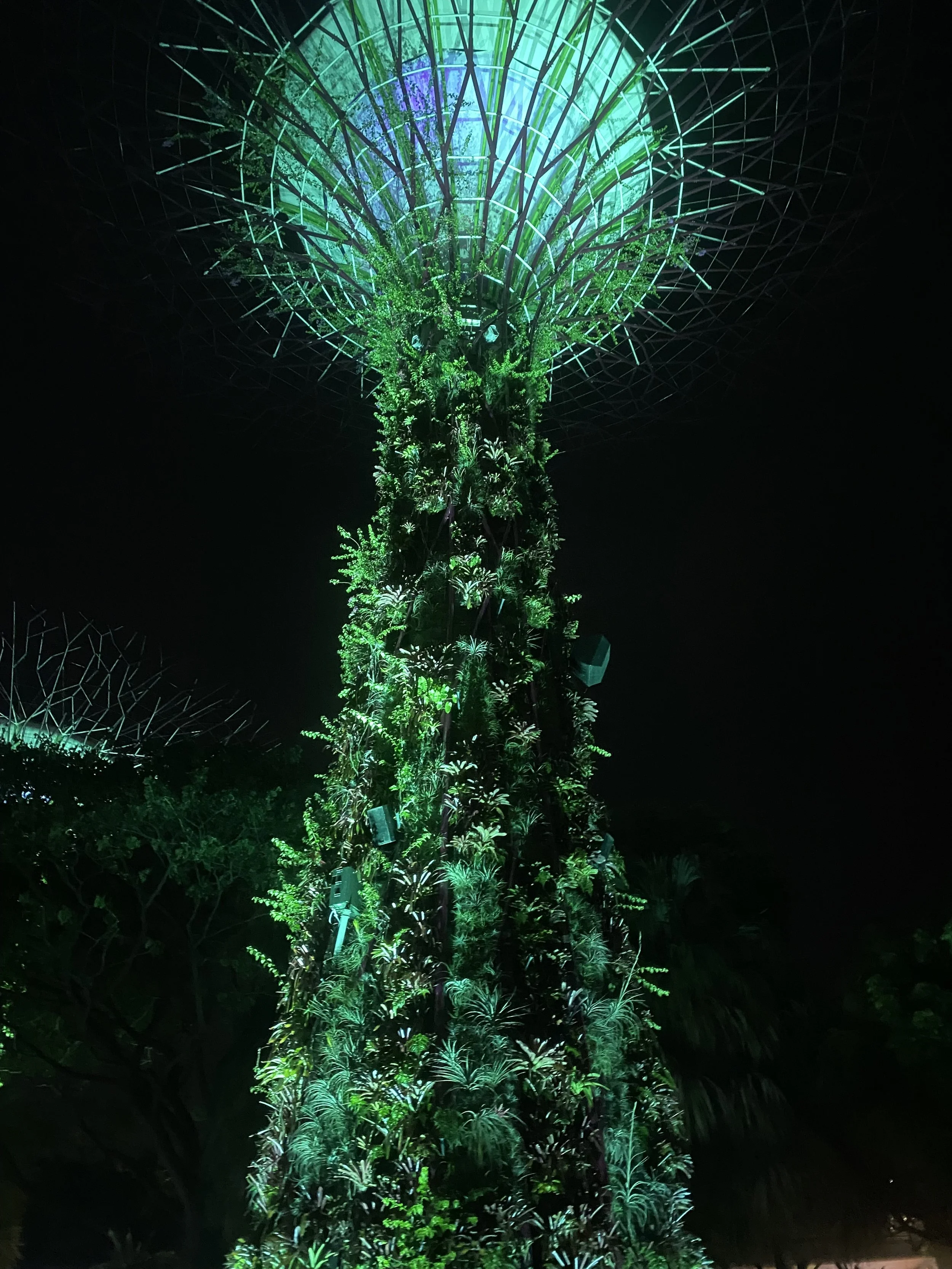 Supertree Grove