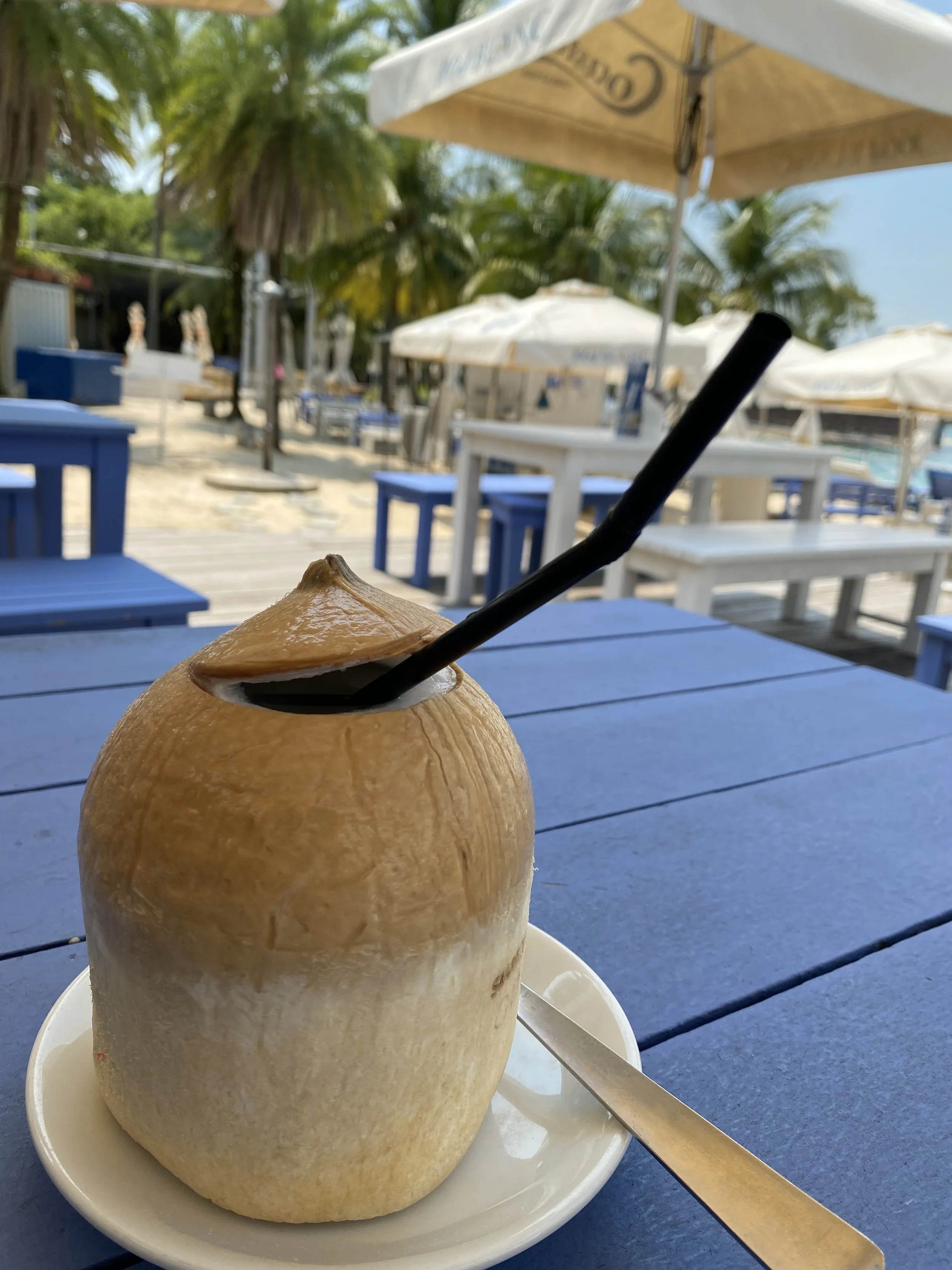 Coconut by the beach, Sentosa