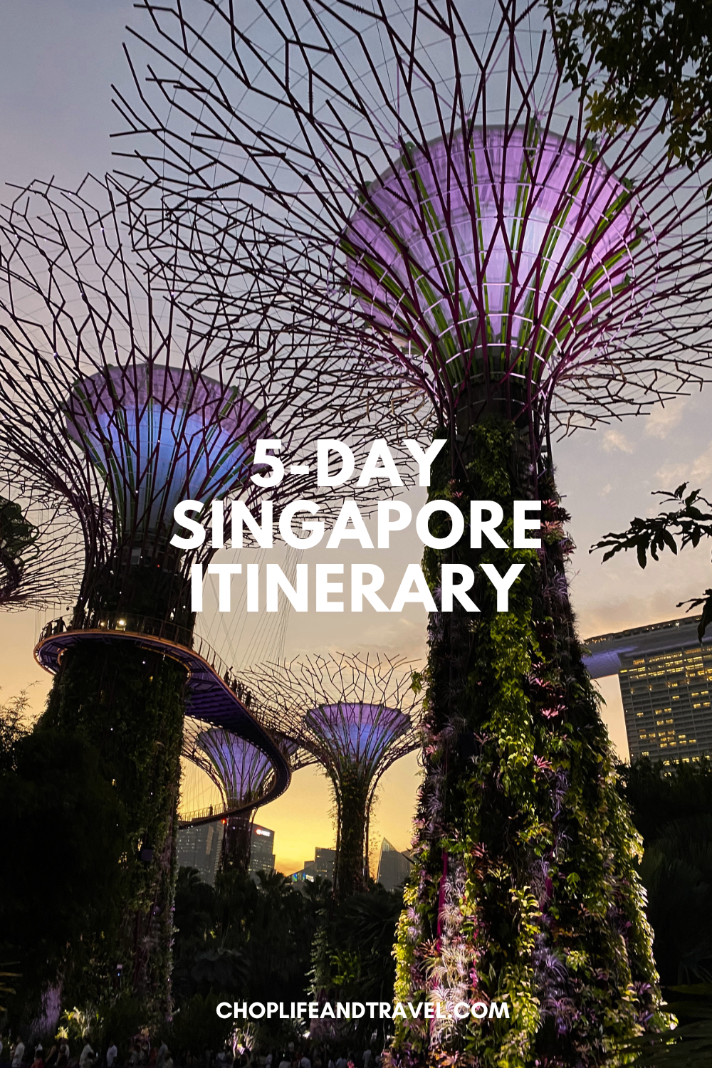 singapore2.png