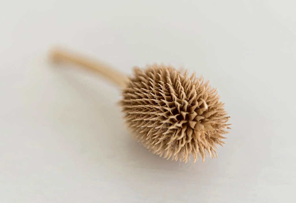 Caring for your Mohair — MASTERWEAVE