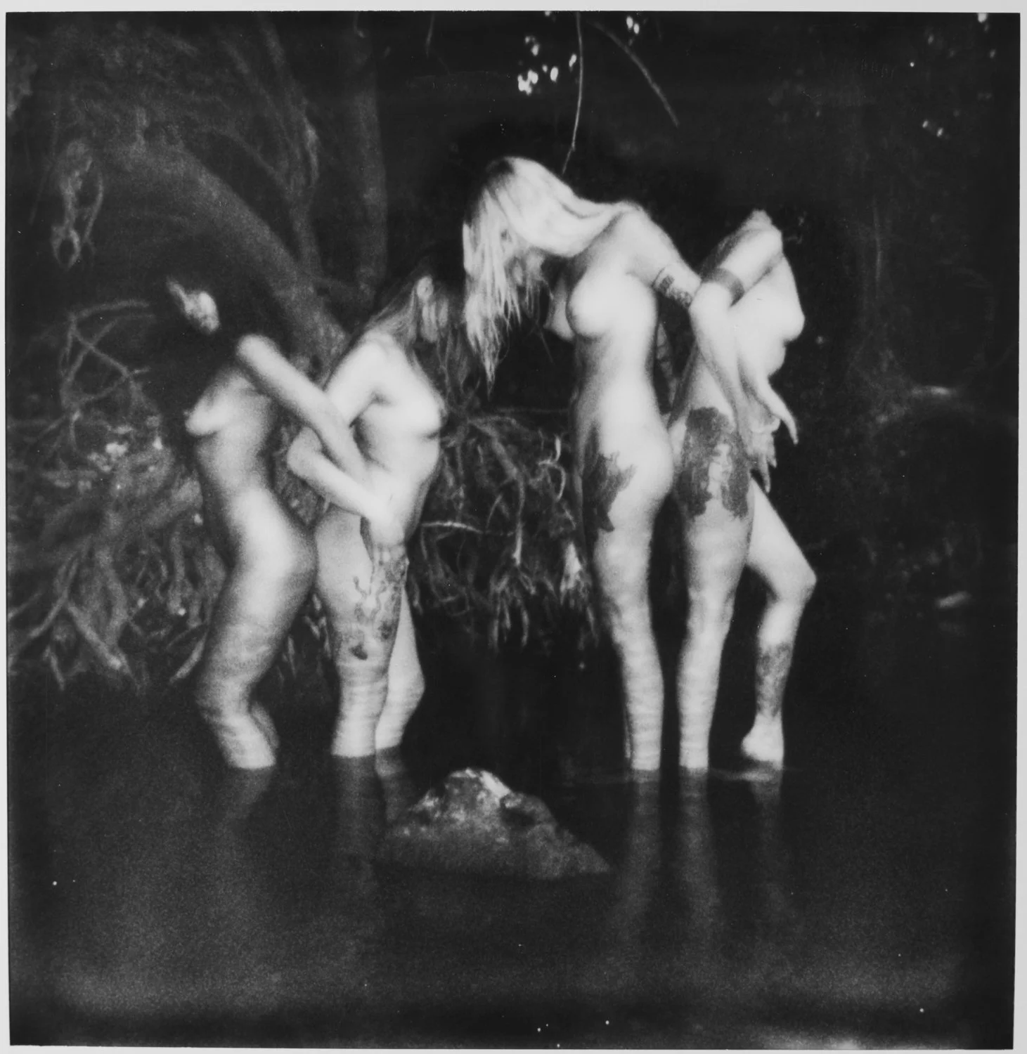 polaroid-30027.jpg