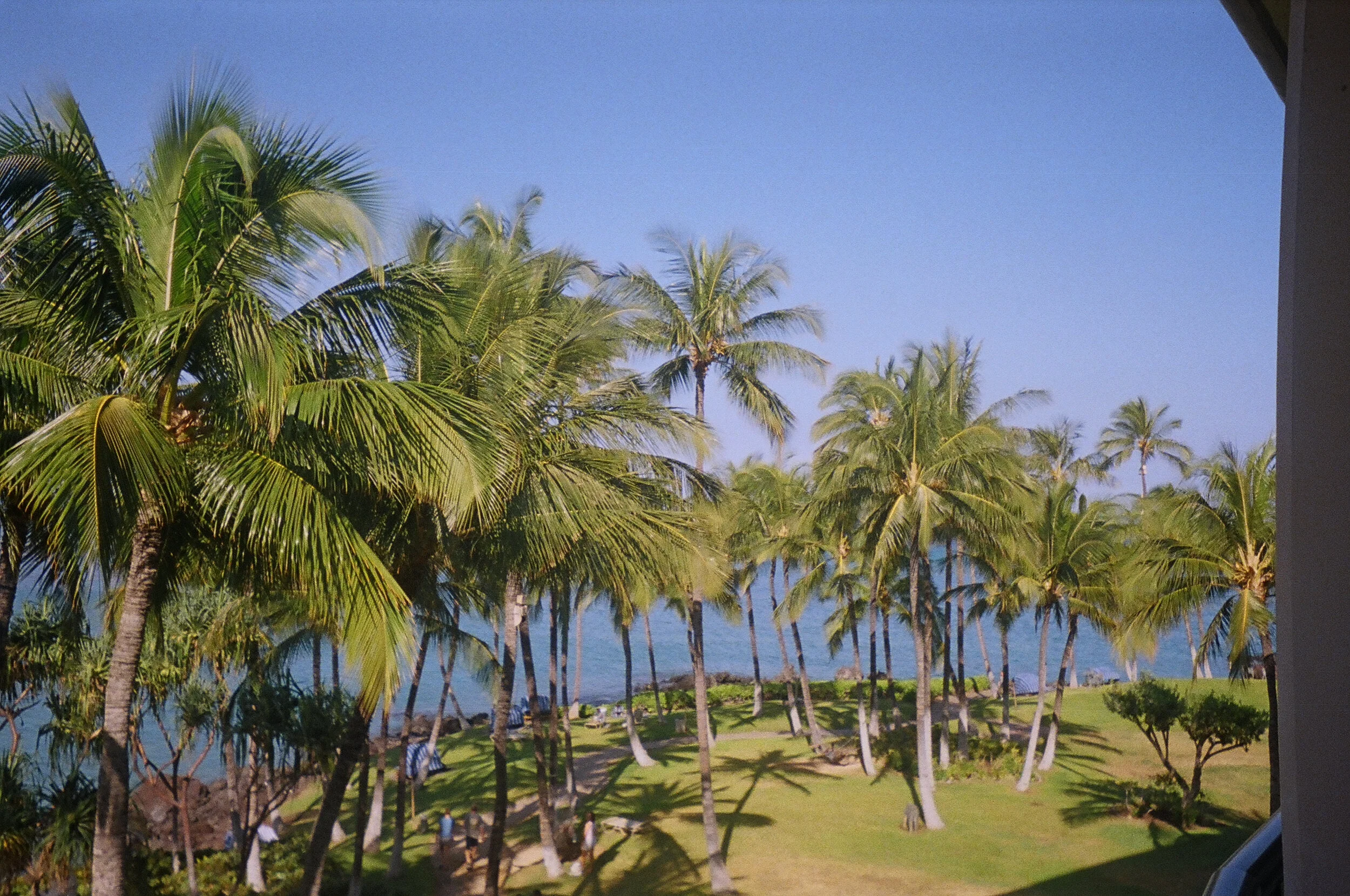 Waikoloa