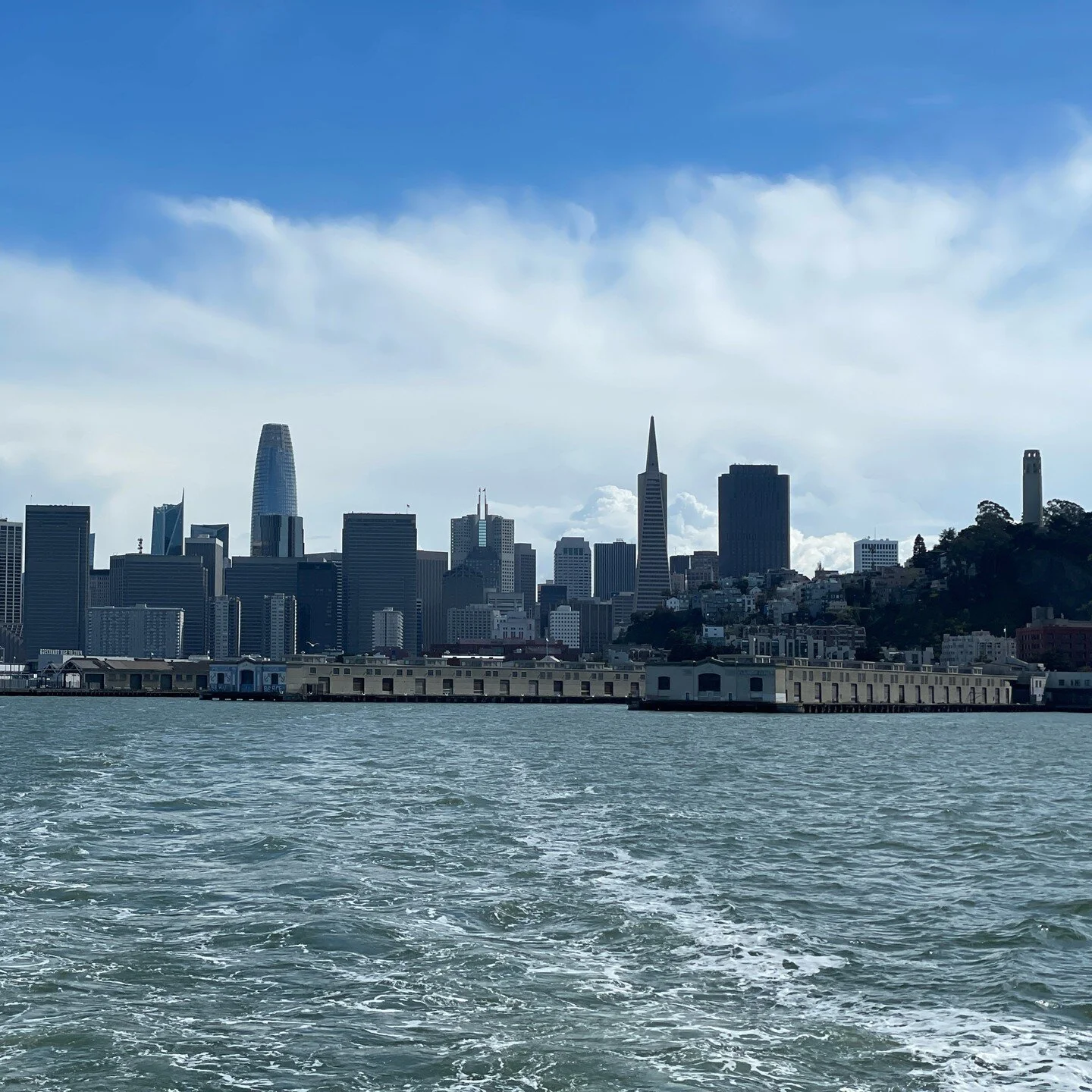 collaboration-day-mr-andrew-hogan