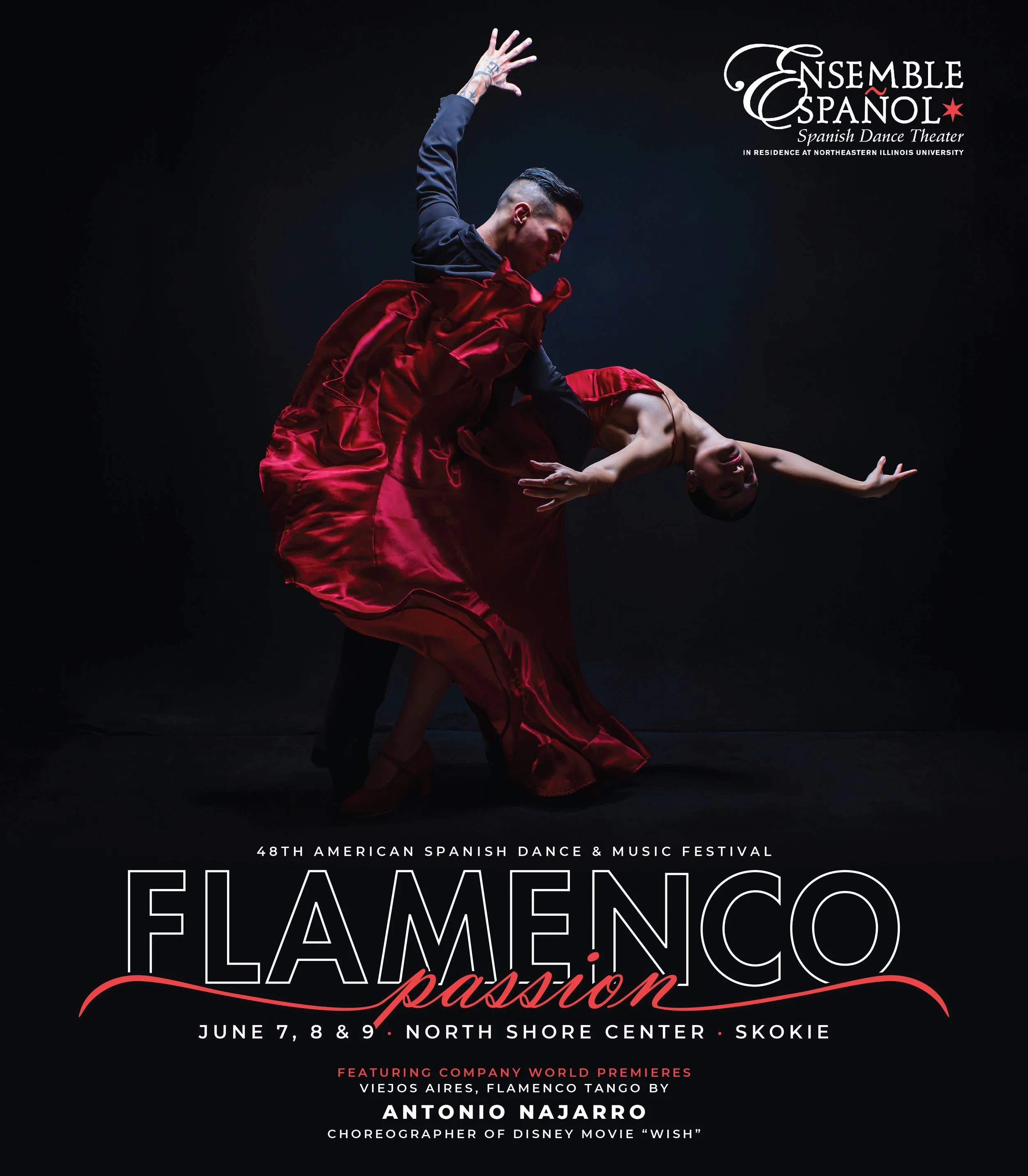 2024-Flamenco-Passion_11x12half - F.jpg