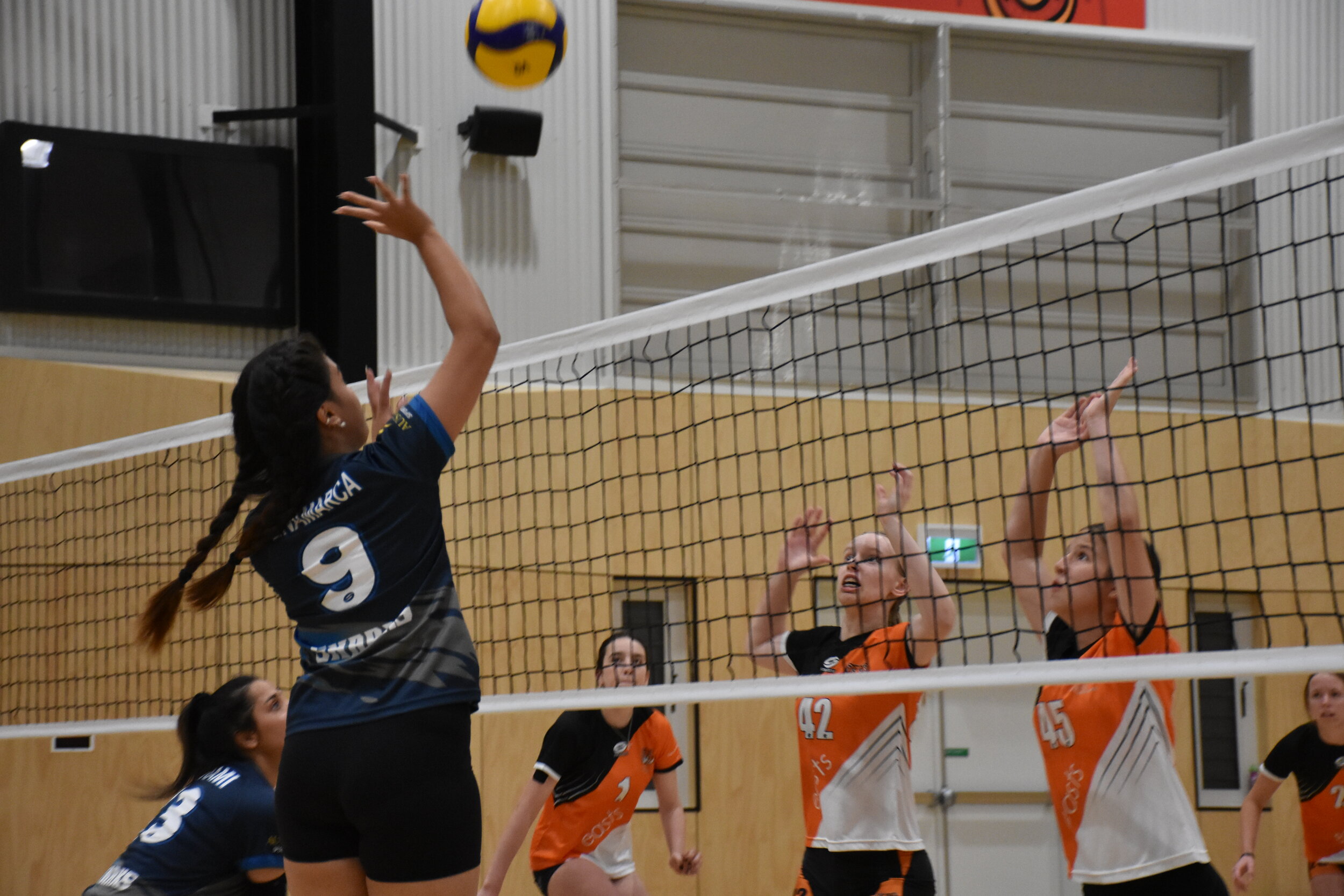 Sharks Volleyball Club