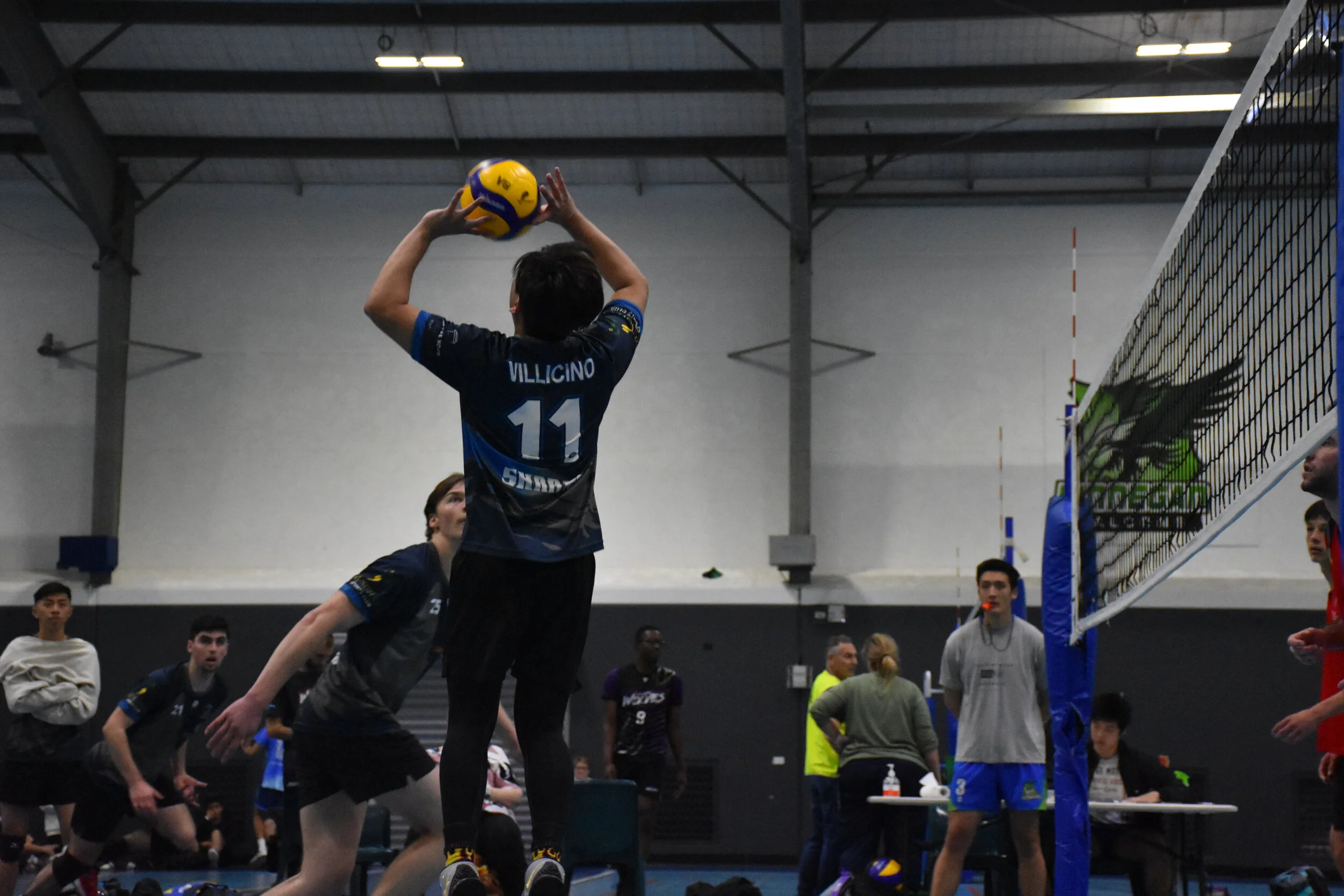 Sharks Volleyball Club