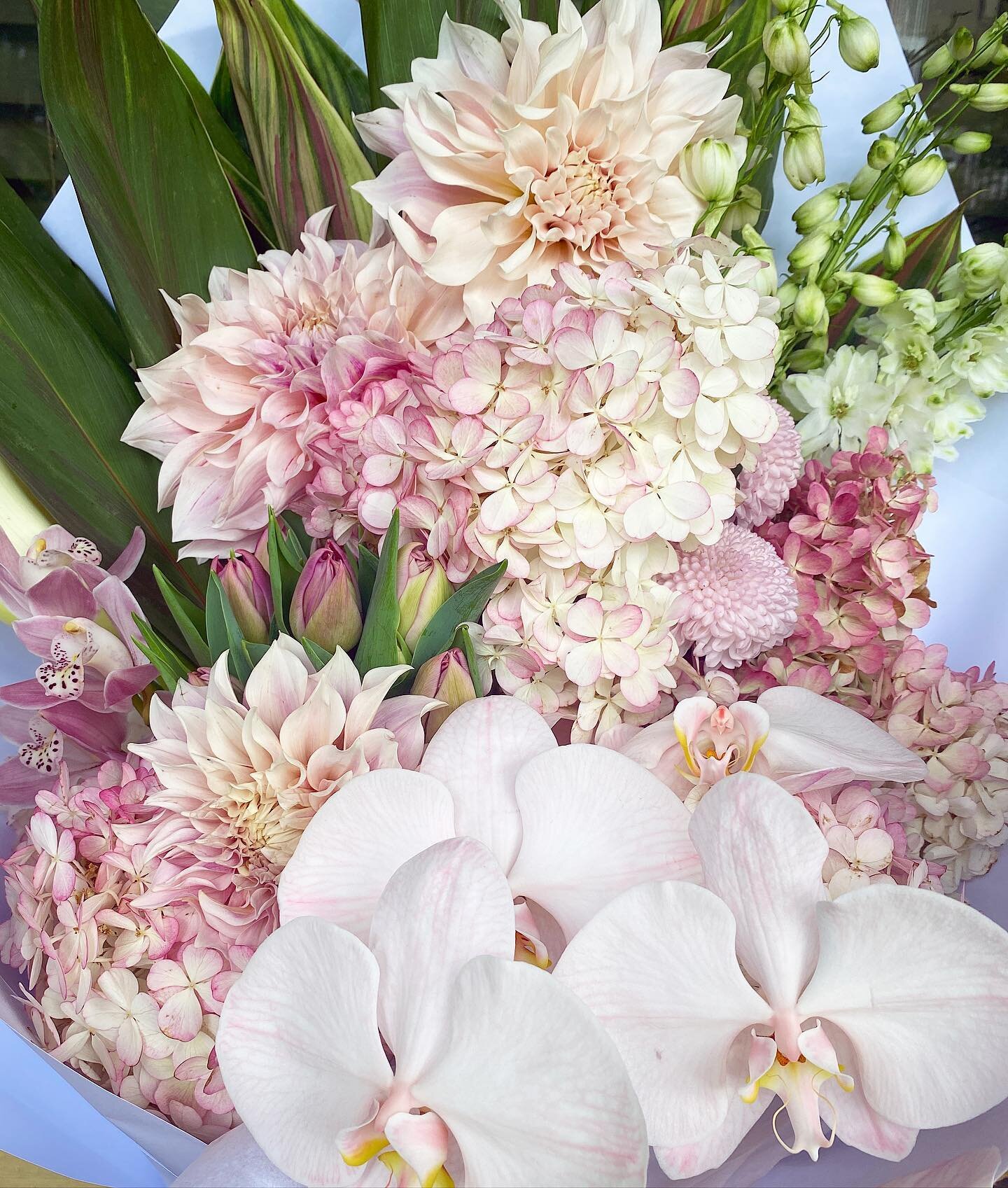 💞 How long will my flowers last? 💞

Most often, 7-10 days. But it varies a lot depending on the environment the flowers are kept in.

3 Tips to Making your Flowers Last Longer:

1. Use a clean vase. Dust and bacteria will dramatically decrease the 