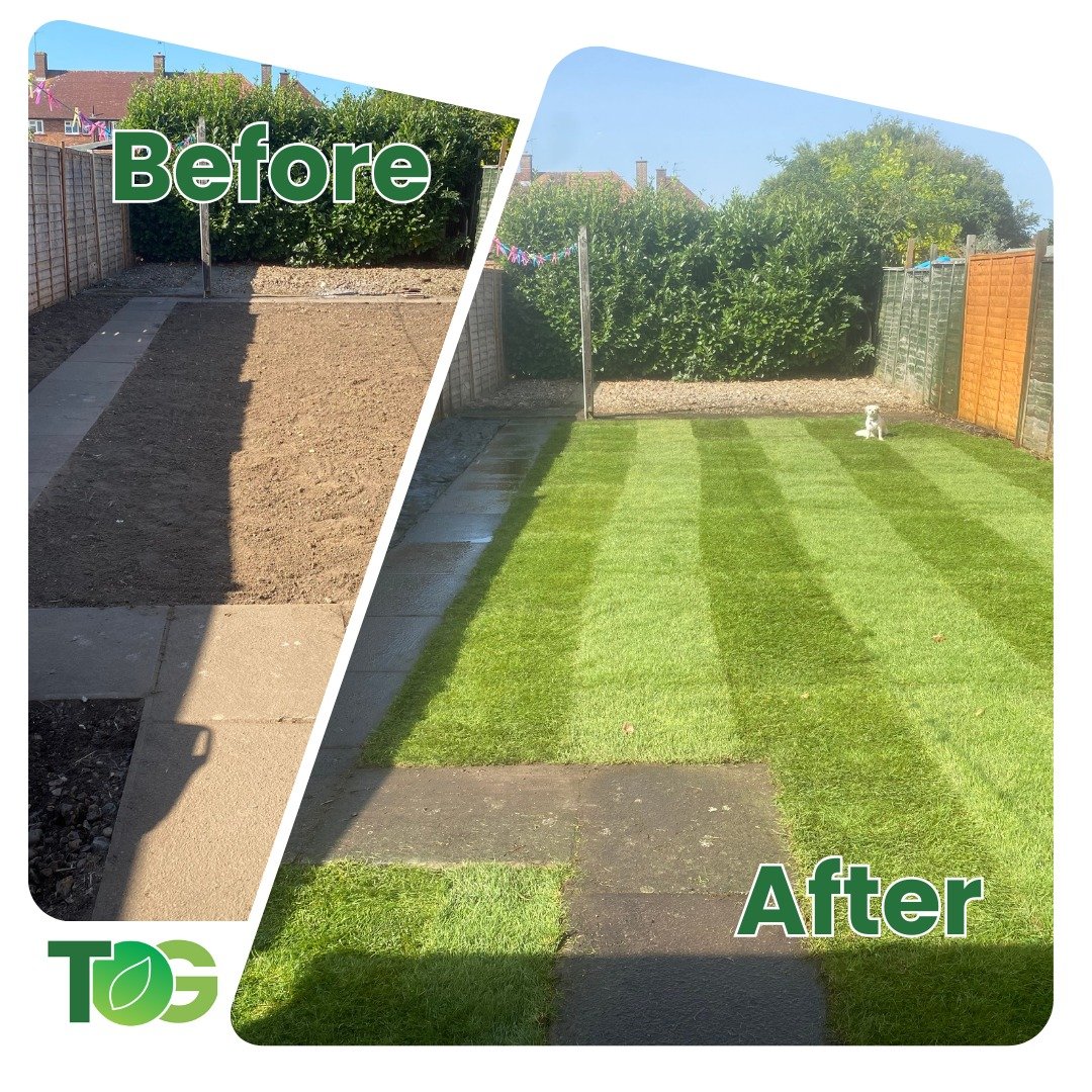 Get in touch today to find out how we can help you get your garden summer ready. 

Call us on 07981 986940 
Drop us an email to tidyonesgarden@yahoo.co.uk

#garden #lawn #stripes #turfgrass