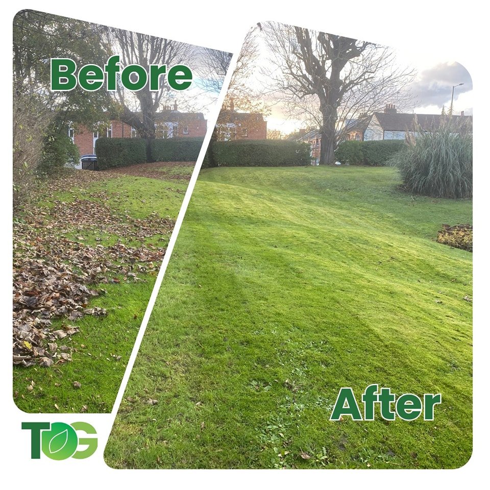 No garden is too big, too small, to unruly or too &quot;hard&quot; for us, at Tidy ones garden we won't be put off by the size of the job (or the weather it seems 🌧️) so get in touch to find out how we can help you this spring. 

Call us on 07981 98