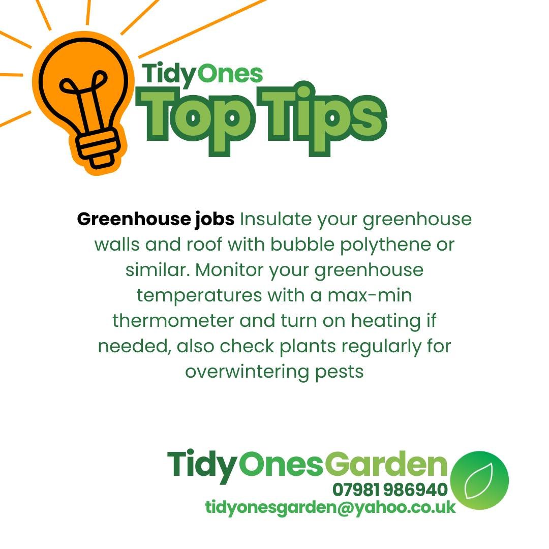 Tidy Ones Top Tips: Greenhouse jobs

#greenhouse  #gardeningtips #overwintering