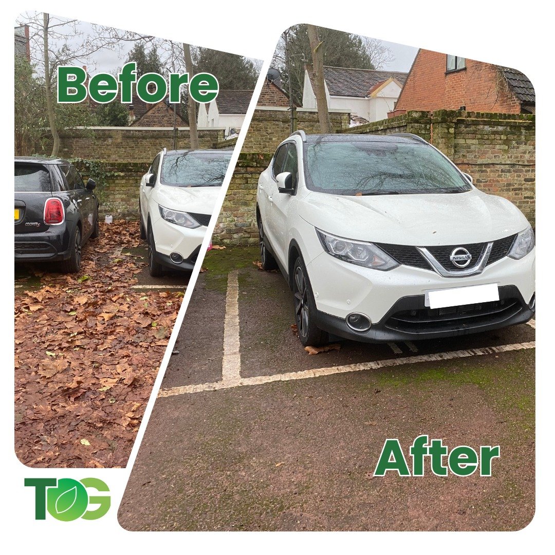 ✔️ Fencing ✔️ Patios ✔️ Garden clearance ✔️ Hedges
✔️ Jet washing ✔️ Landscaping ✔️ Planning &amp; Design
We can do all sorts of outdoorsy jobs, not just gardening!

Call us on 07981 986940
Drop us an email to tidyonesgarden@yahoo.co.uk

 #winterjobs