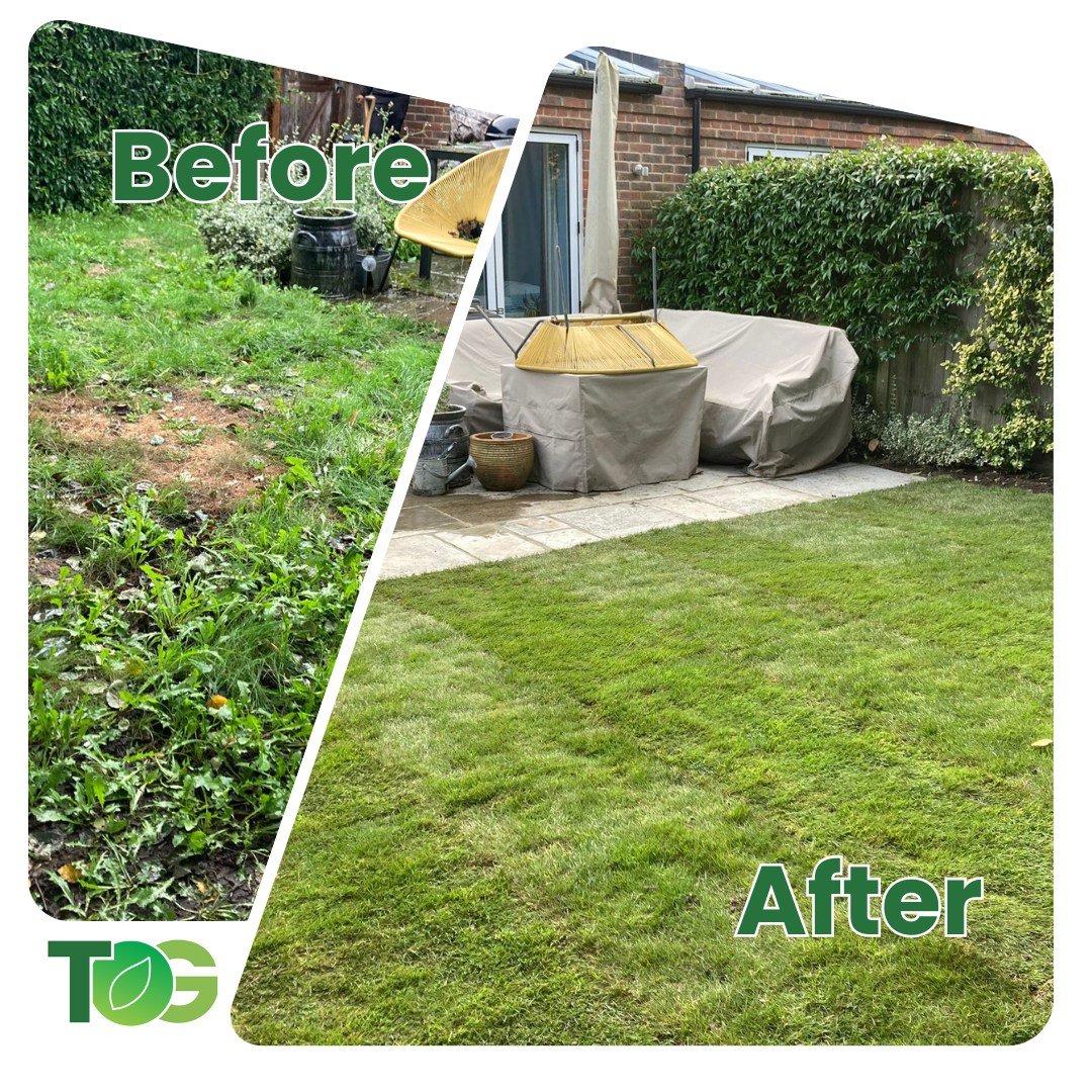 Gave this garden a fab tidy up and replaced all those weeds with lovely turf!

#tidyup #gardentidy #turf #lawn