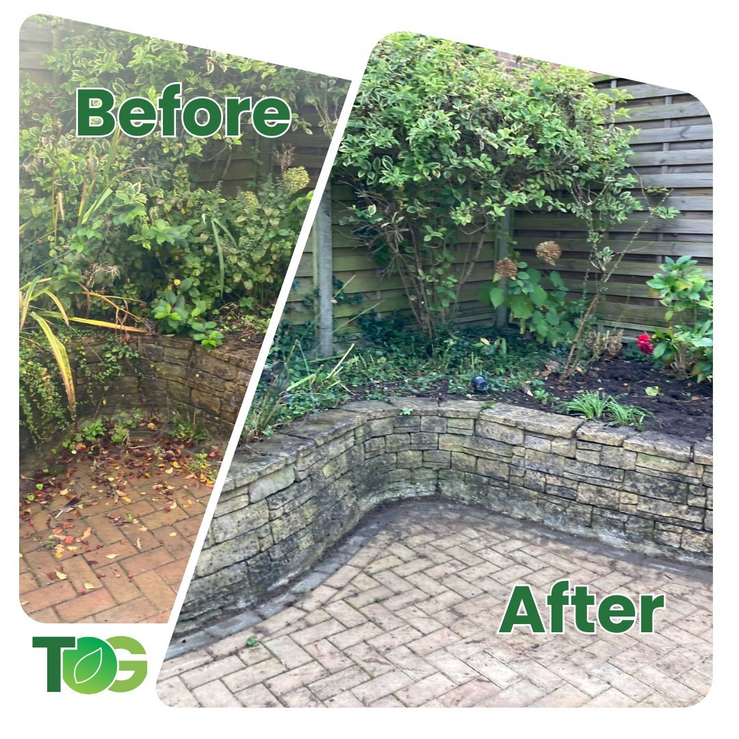 Starting to get gardens ready for the winter now with some jet washing, pruning and general clearing down. Need some help with your outdoor space? 
Call us on 07981 986940
Drop us an email to tidyonesgarden@yahoo.co.uk

#cleardown #jetwash #pruning #