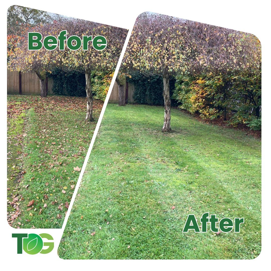 If you've got bushes or trees in your garden that are dropping leaves faster than you can sweep them, reach out, we can help you keep on top of it and keep your garden looking beautiful all year round. 🍂

Call us on 07981 986940
Drop us an email to 