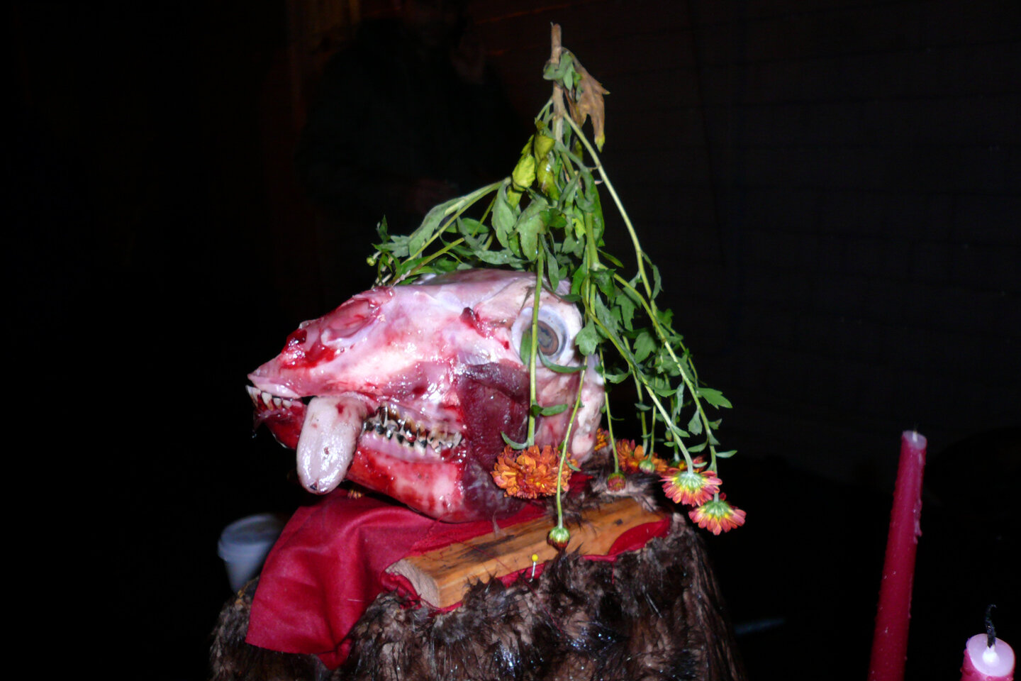 2009_fallsacrifice.jpg