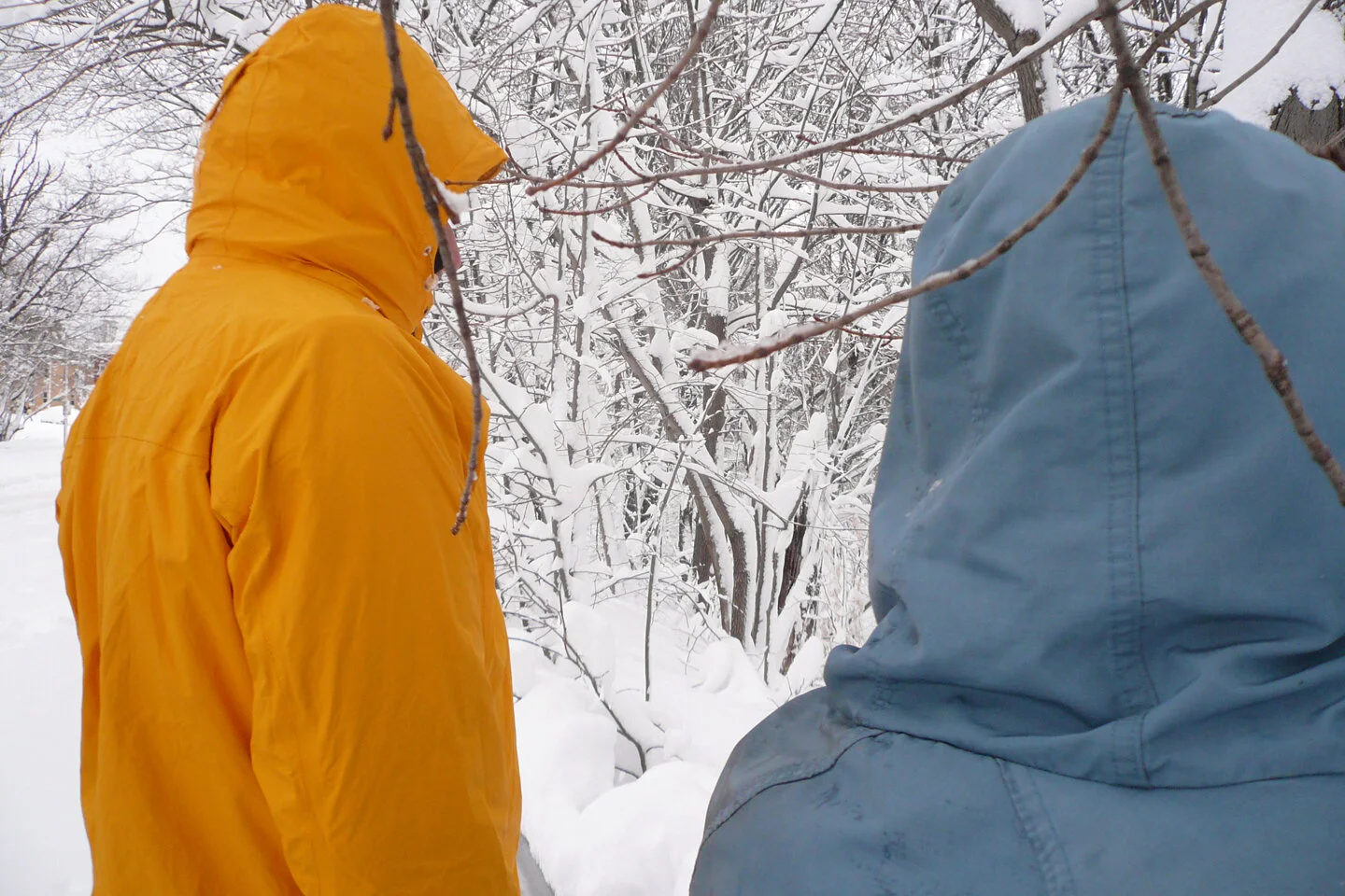 2010_snowstorm3.jpg