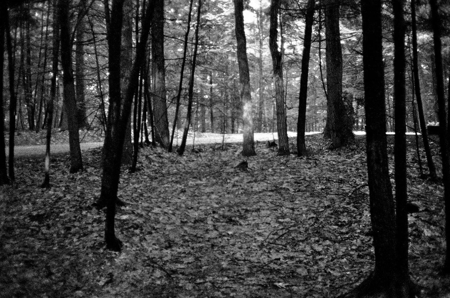 2011_brattleborro.jpg