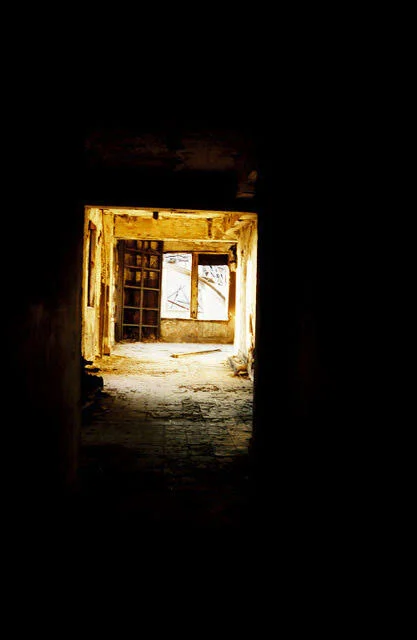 unnamed-8.jpg