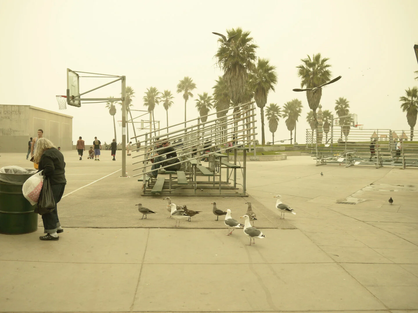 2011_venicebeachgleaners.jpg