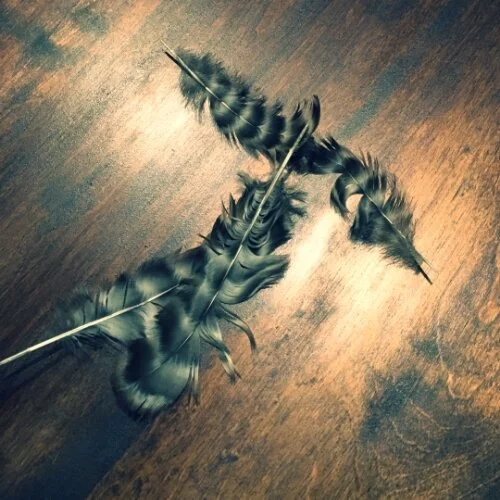 Balancing Freedom with Safety