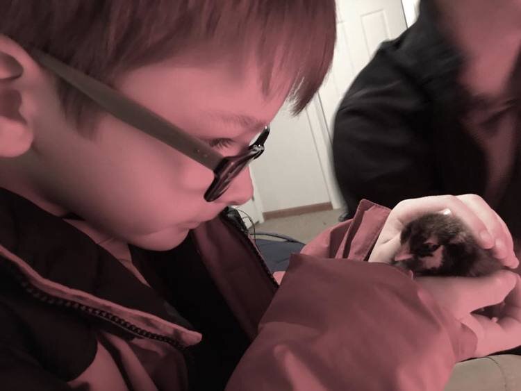 The Best Friend Contest