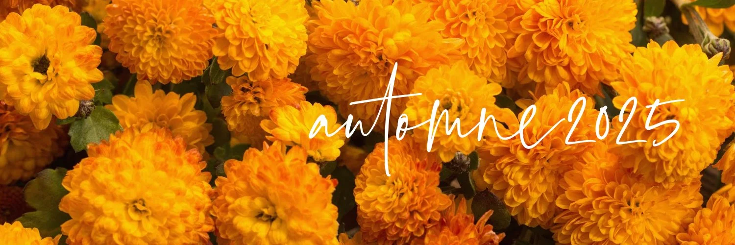 automne 2025 .jpg