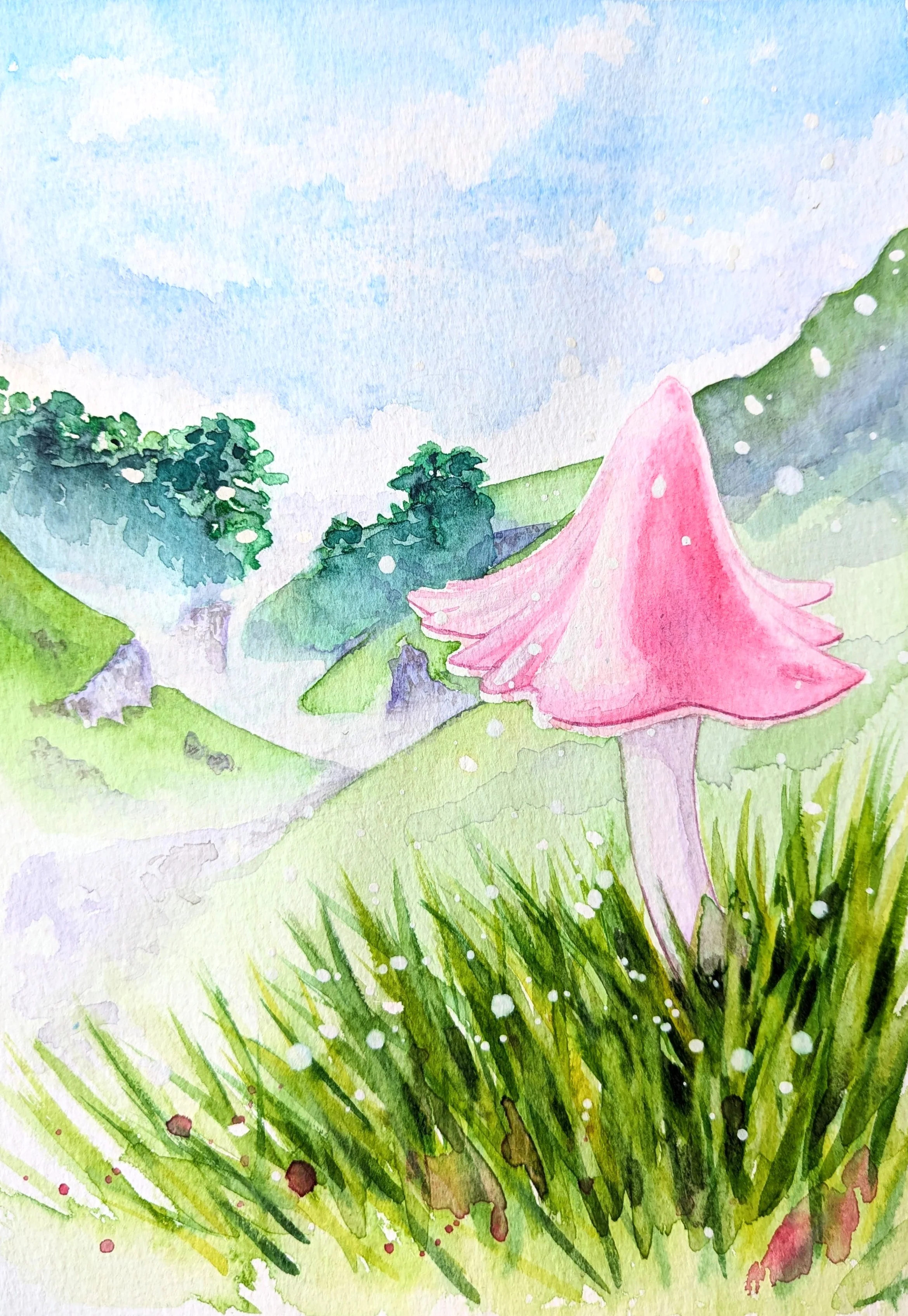 Cavedale Ballerina Pink Waxcap.jpg