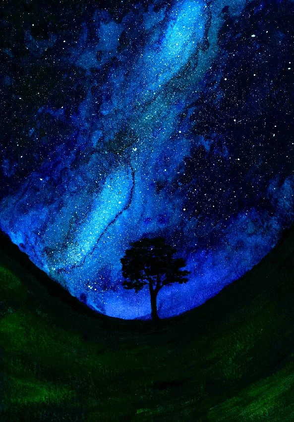 Drawing.sketchpad (1).jpeg