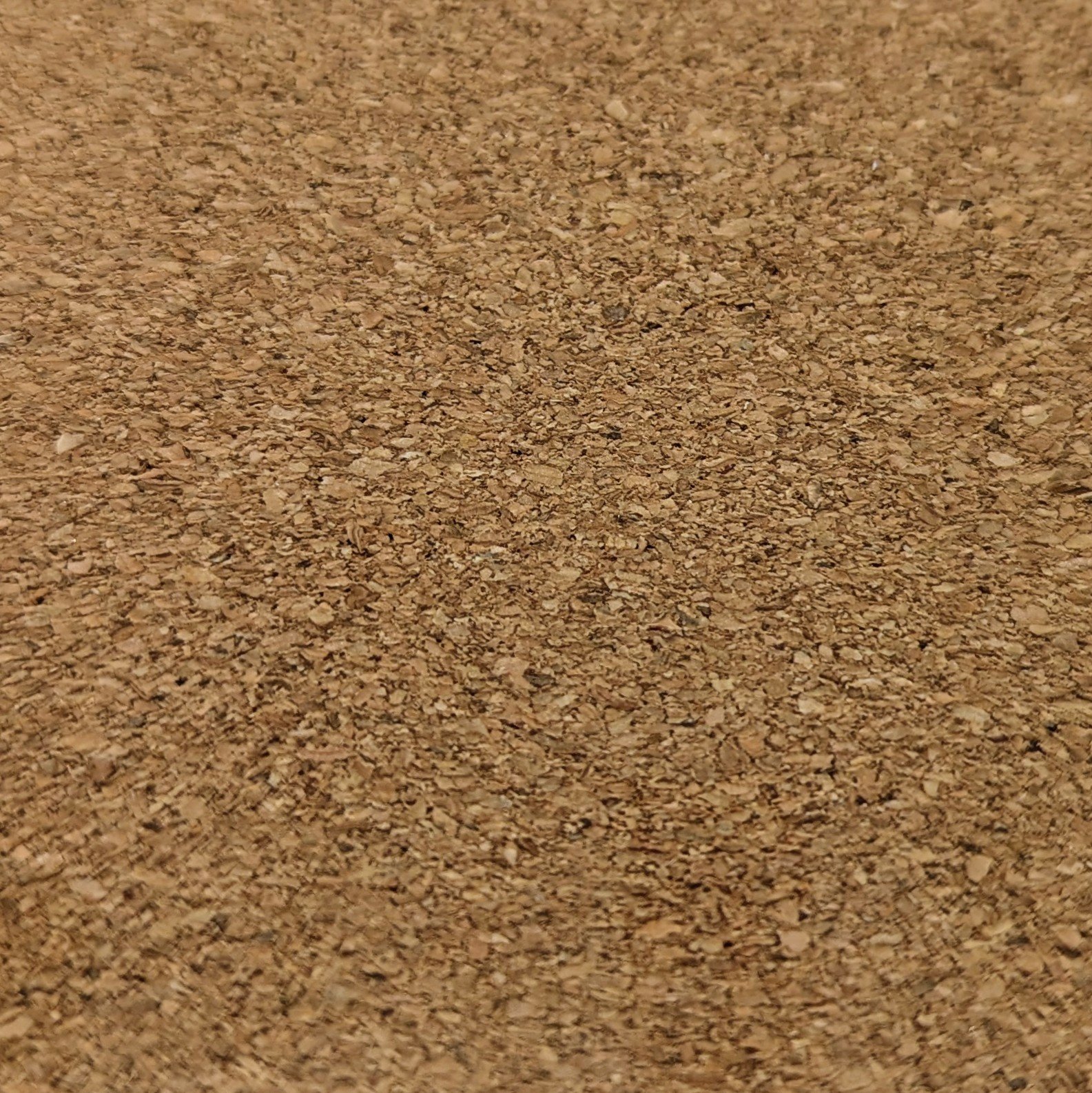 PXL_20251111_184314384~2.jpg