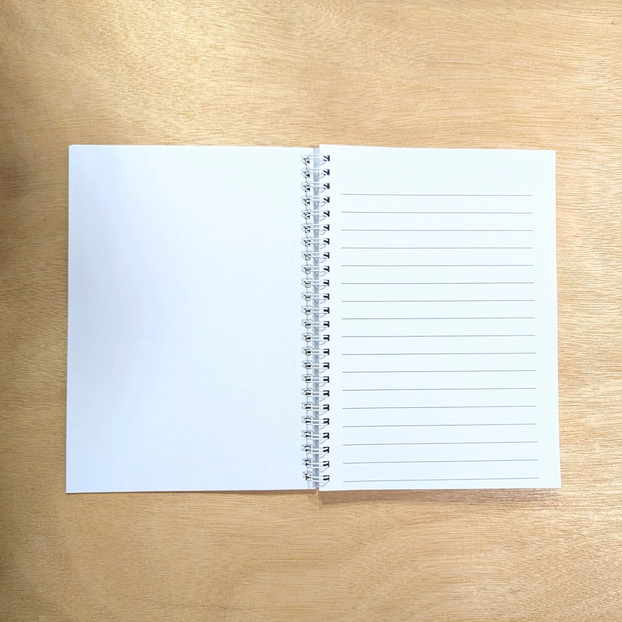 PXL_20251111_183838653~2.jpg (Copy)