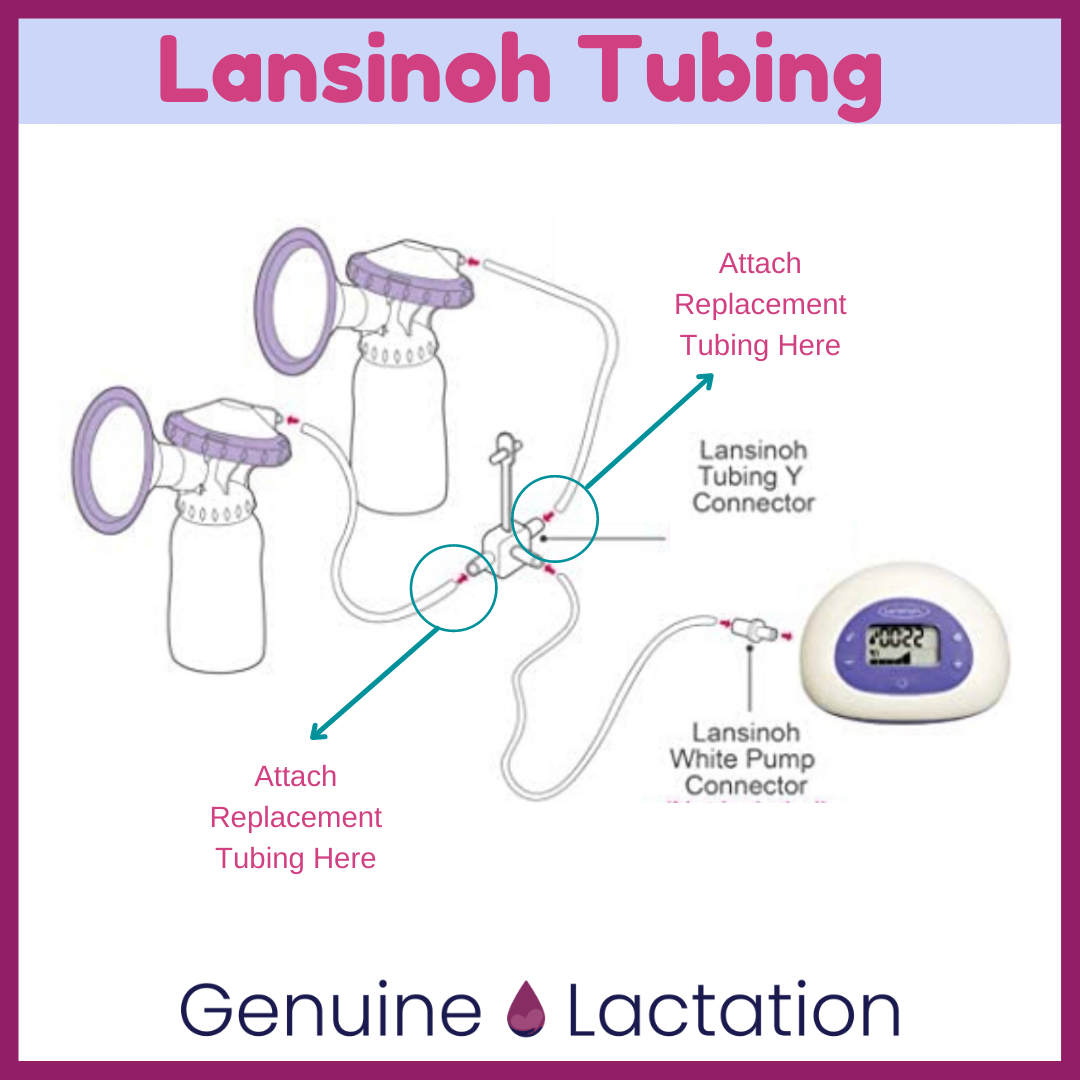 Lansinoh Flange Size Chart