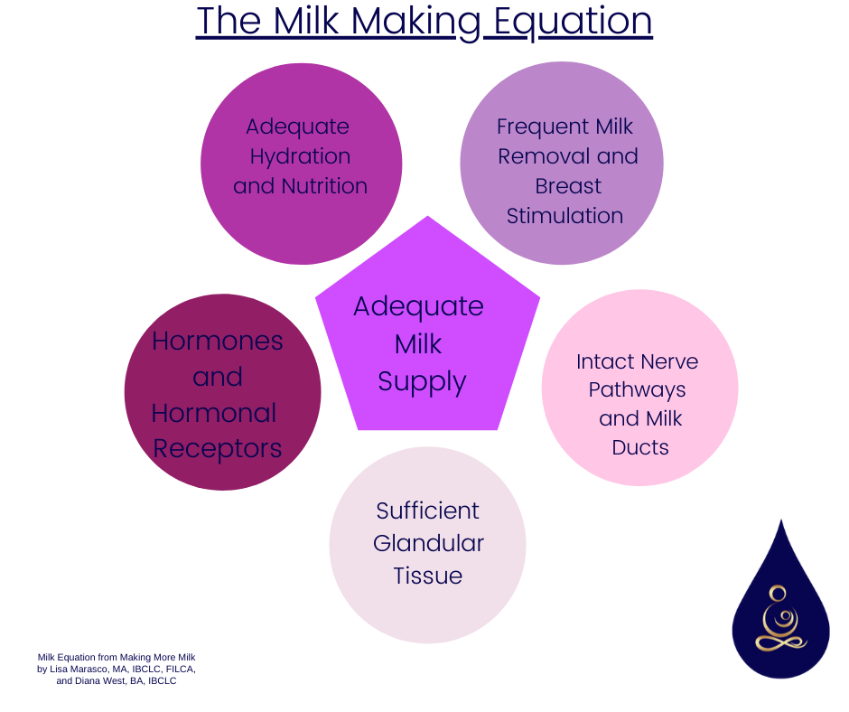 Learn All About Breastmilk Production — Genuine Lactation