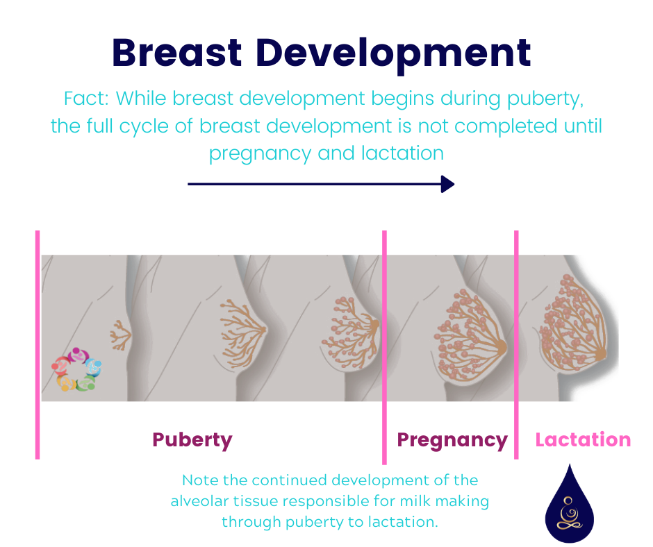 Do Breasts Really Sag after Breastfeeding? – Aristocrat Plastic