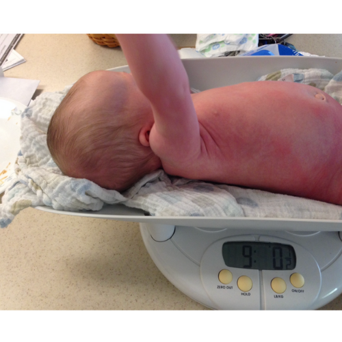 Weighing Your Baby at Home & Weighted Feeds — Genuine Lactation