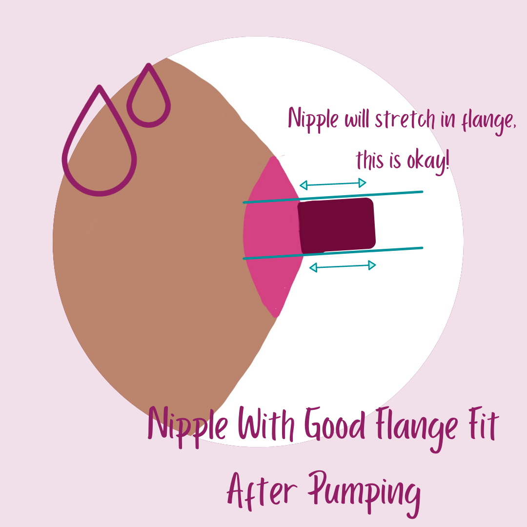 Using the Right Size Flange: Avoid the Nipple Ripple - Save The Milk