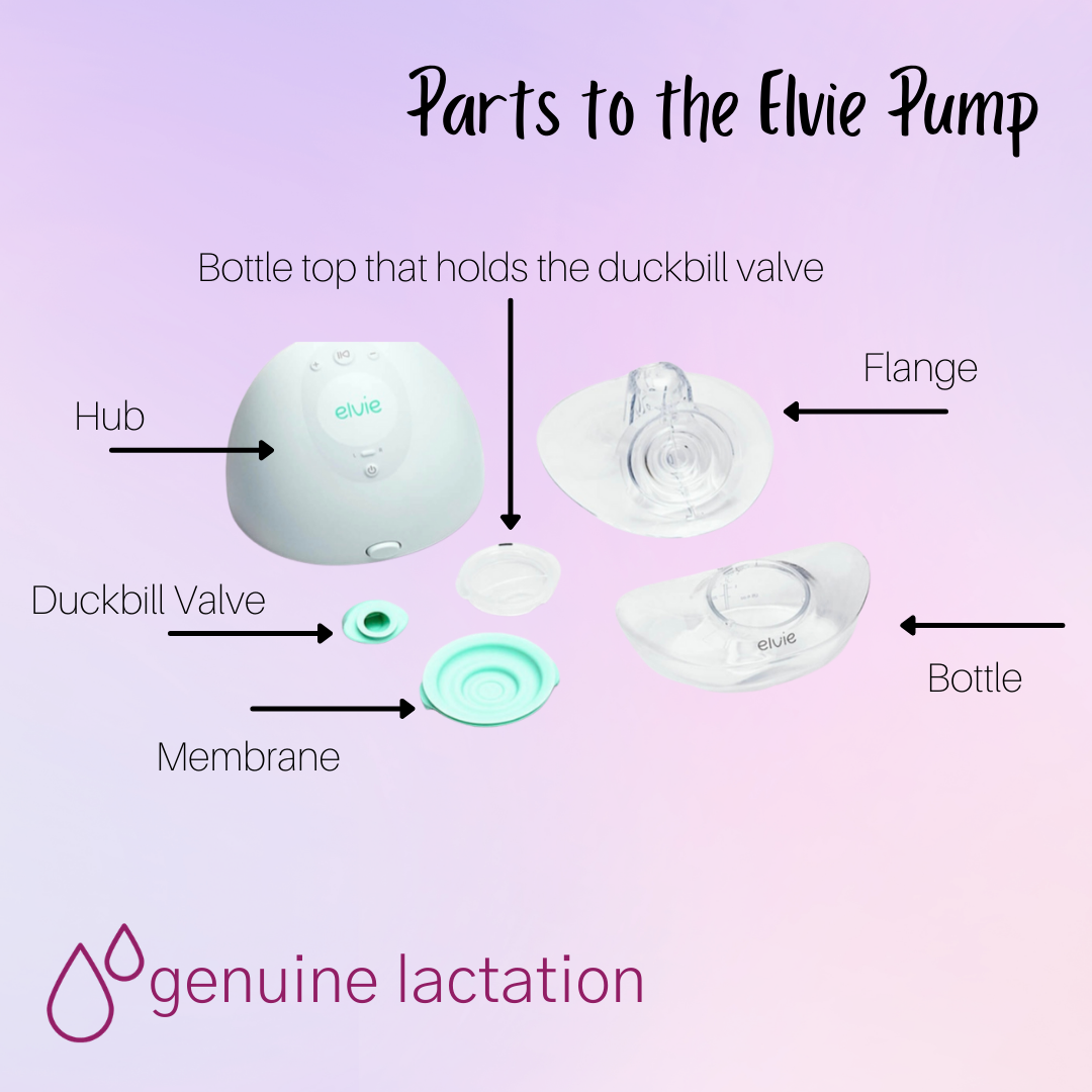 What's the difference between Elvie Breast Pump and Elvie Stride?