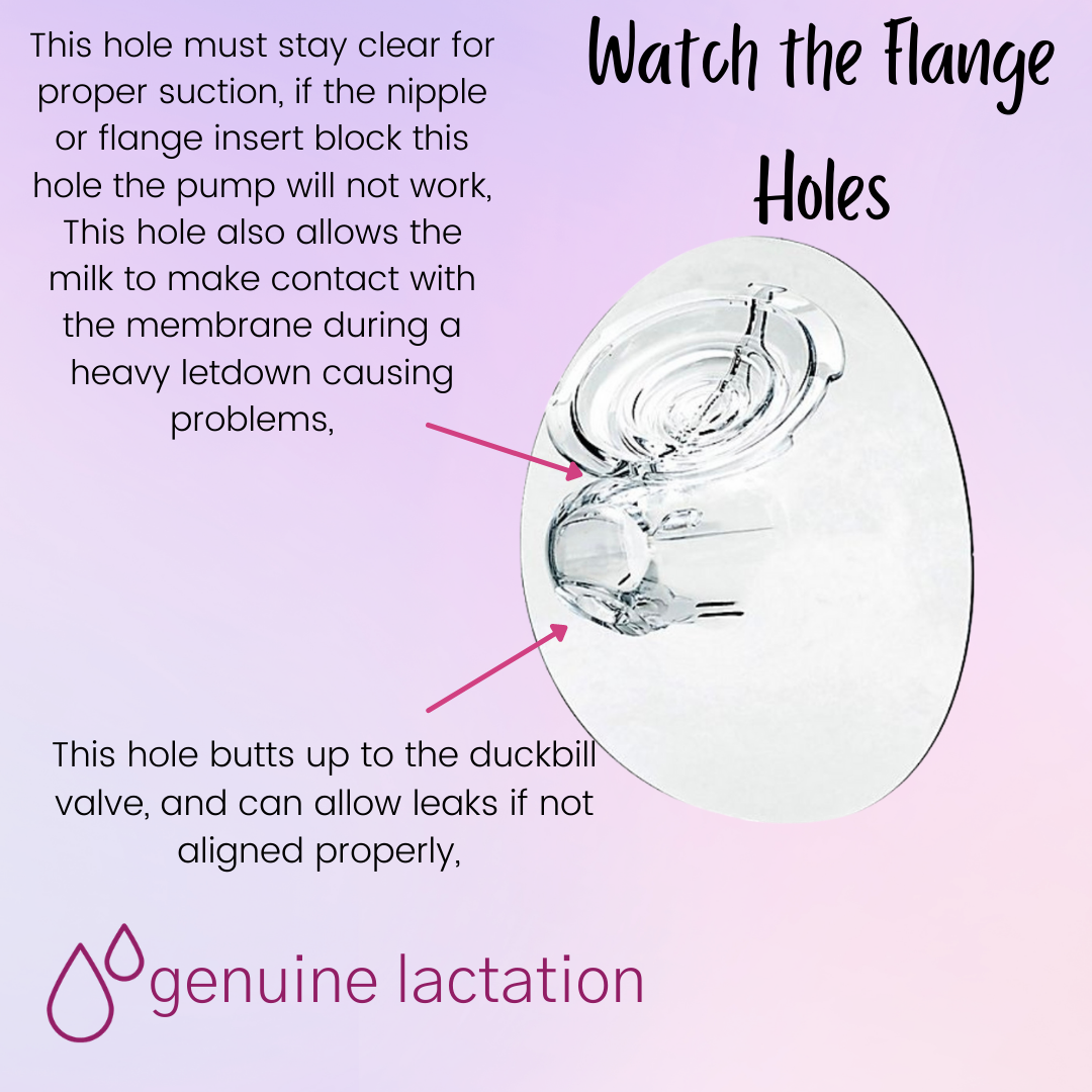Flange Sizing — Genuine Lactation