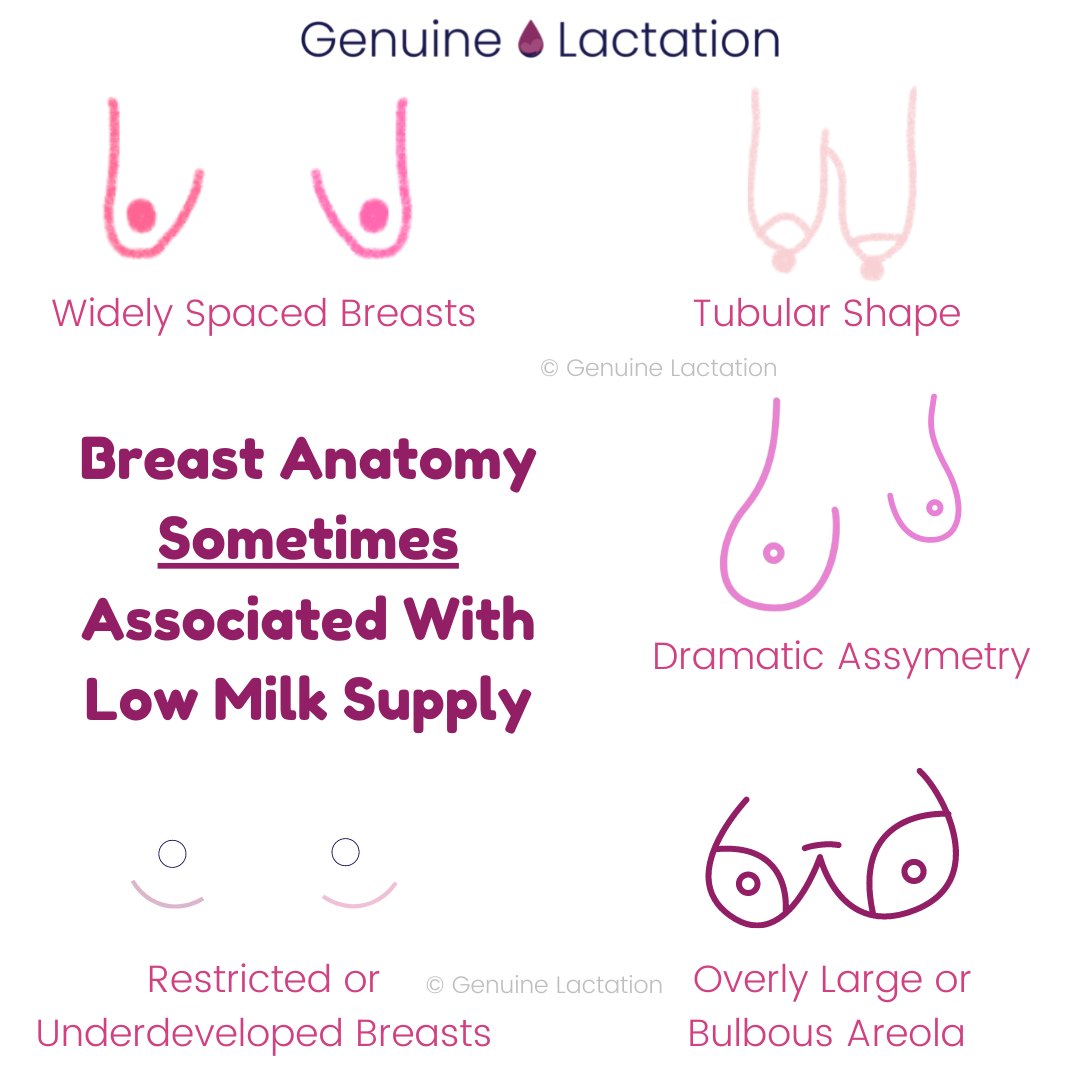 Willow Pump and Low Milk Supply — Genuine Lactation