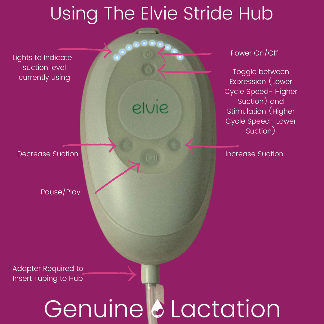 What's the difference between Elvie Breast Pump and Elvie Stride?