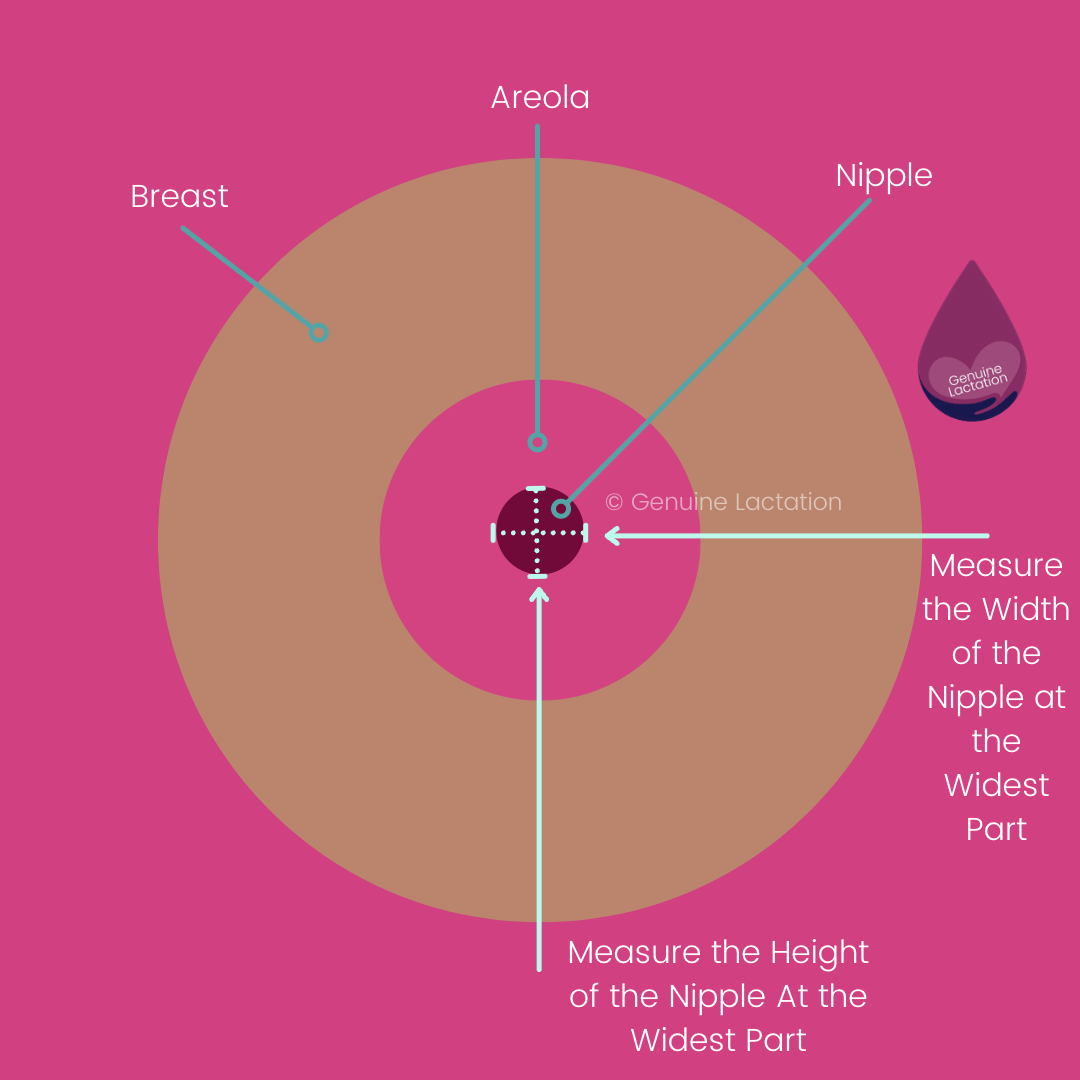 Flange Sizing — Genuine Lactation