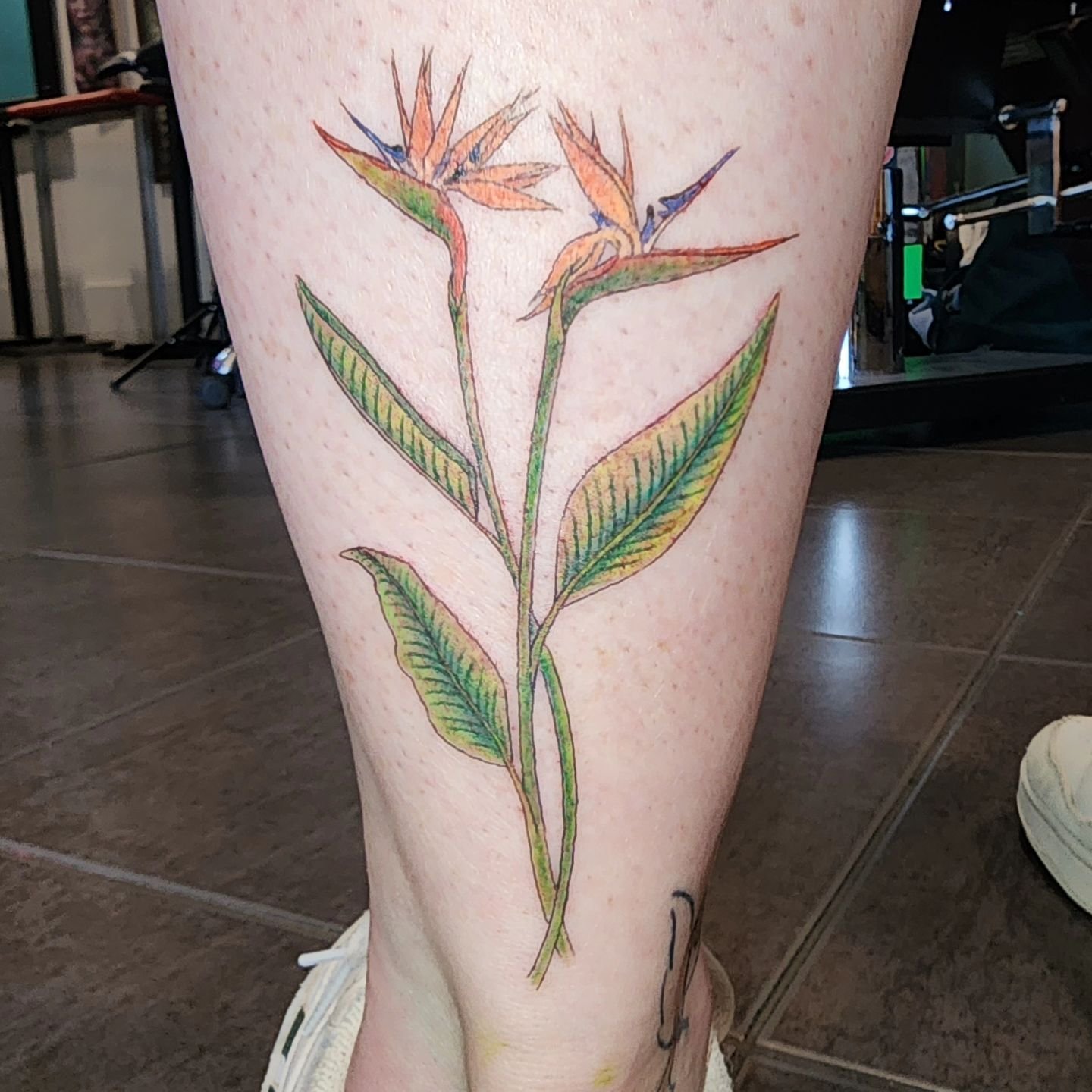 Little bird of paradise for @berna_saurus done @inkwizardstattoo thanks for looking. 

#tattoo #botanical #birdofparadise #flowers