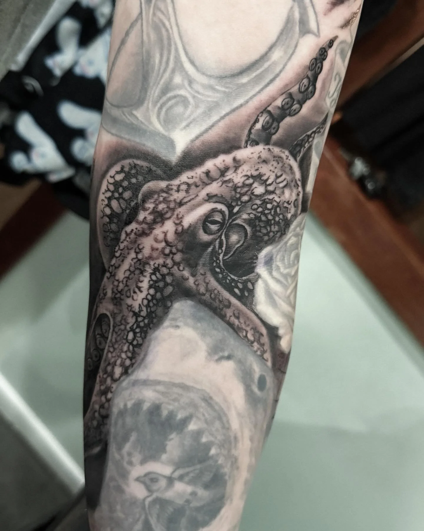 Lil throwback to this octo gap filler I tatted! 

DM to book/enquire! 
@inkwizardstattoo 

#adelaide #adl #femaletattooartist #tattoodesign #flash #flashtattoo #tattooartist #adelaidetattoos #adelaidetattoo #octopus #octopustattoo #realism #realismta