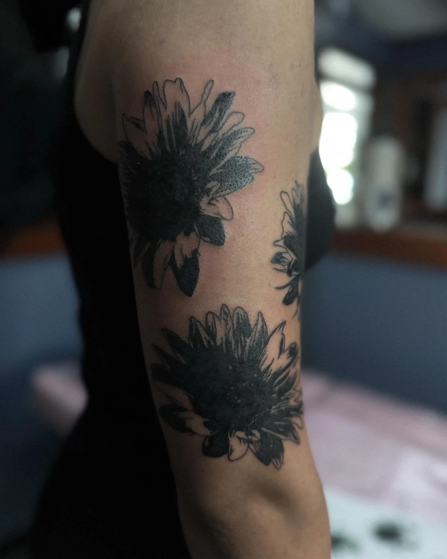 some blackwork sunflowers for Miriam 

DM to book/enquire
@inkwizardstattoo 

#blackwork #blackworktattoo #femaletattooartist