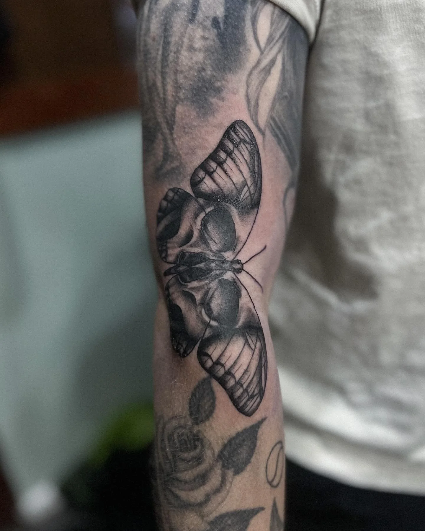 Skullerfly ☠️

DM to book or get a quote!
@inkwizardstattoo 

#adelaide #adl #femaletattooartist #tattooconnect #tattoodesign #flash #flashtattoo #tattooconnectau #tattooartist #adelaidetattoos #adelaidetattoo