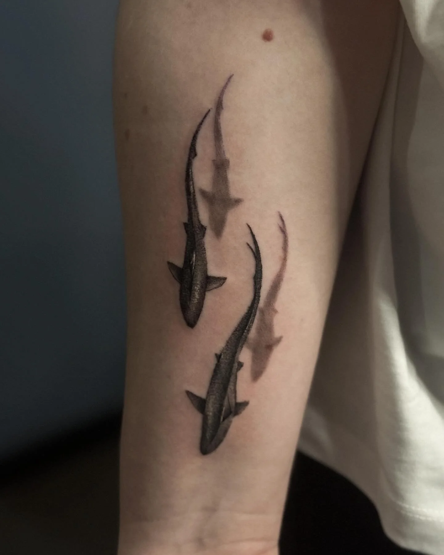 🦈

DM to book/enquire!
@inkwizardstattoo 

#sharktattoo #blackandgrey #femaletattooartist