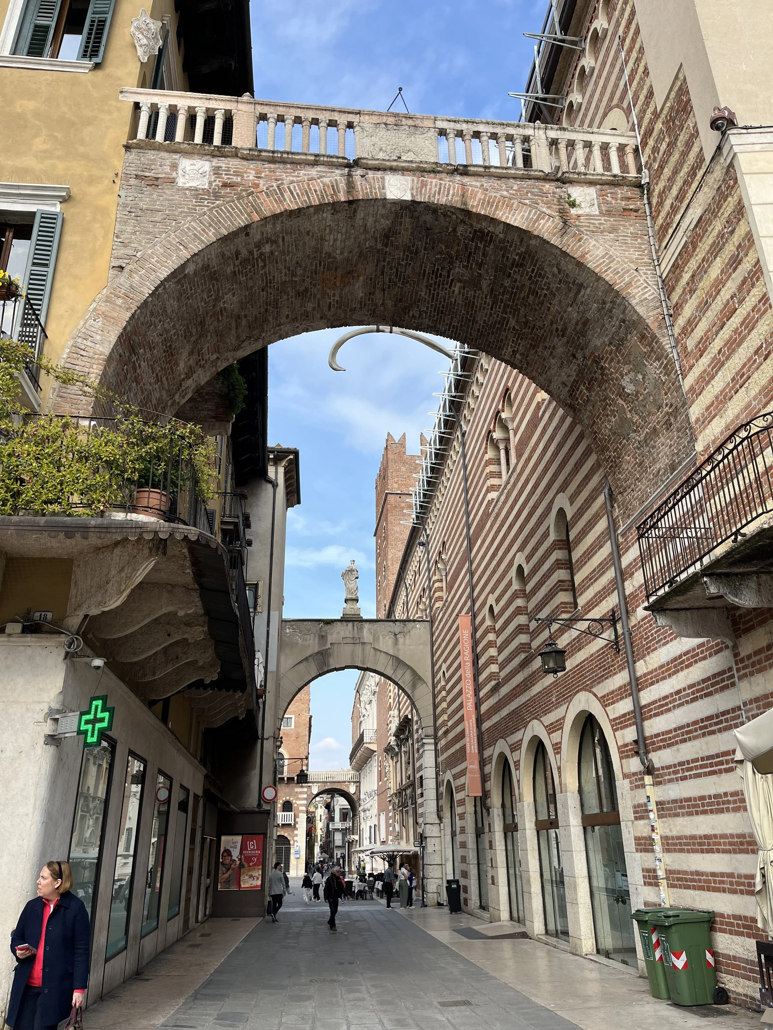 IMG_2963.jpeg