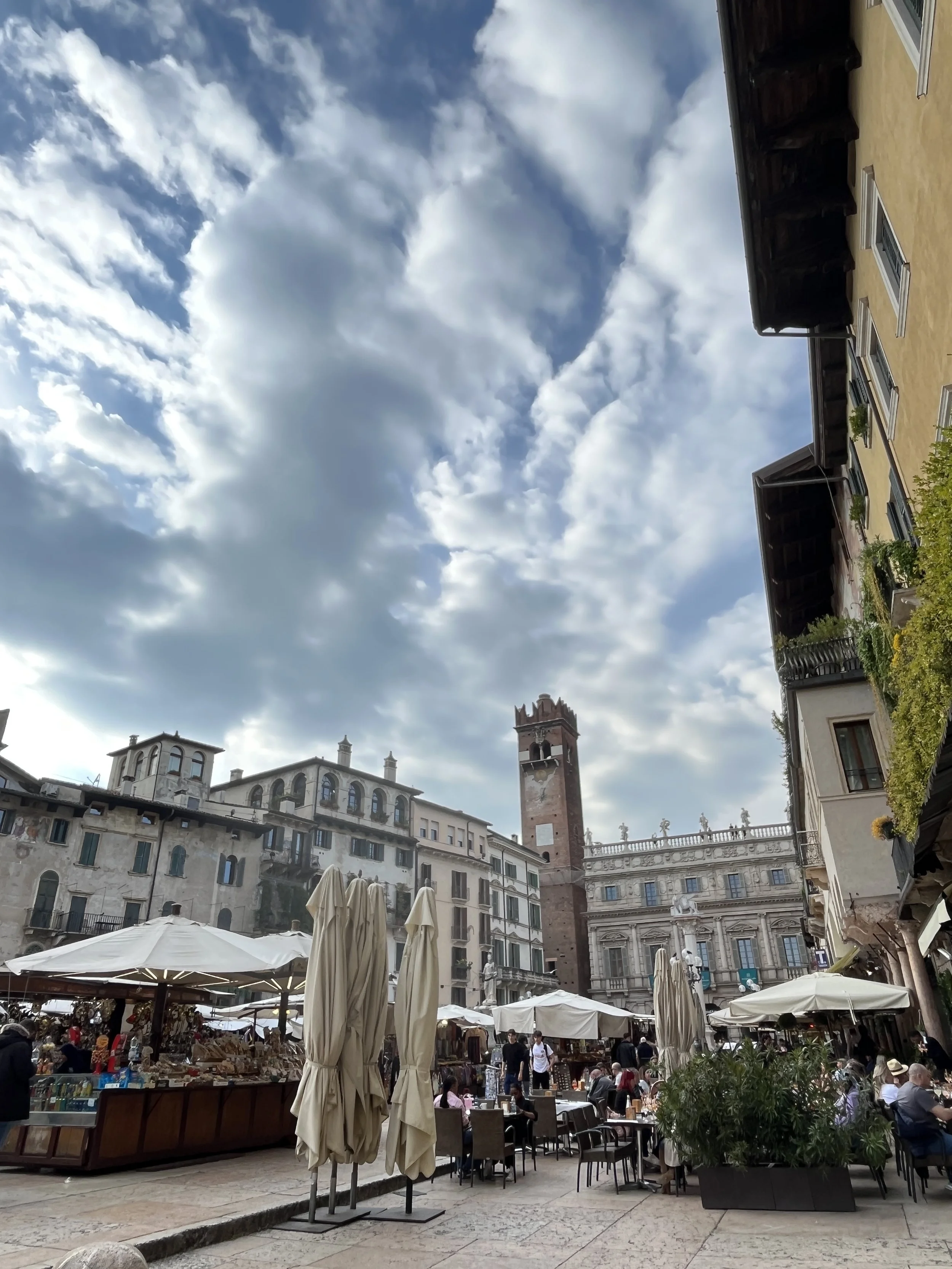 IMG_2970.jpeg