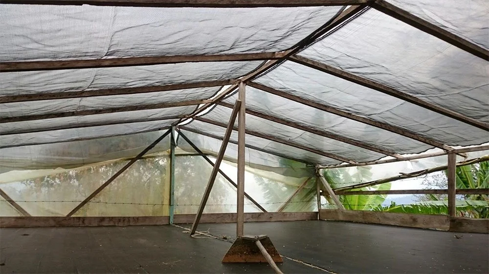 Colombia Gesha craigs coffee.jpg