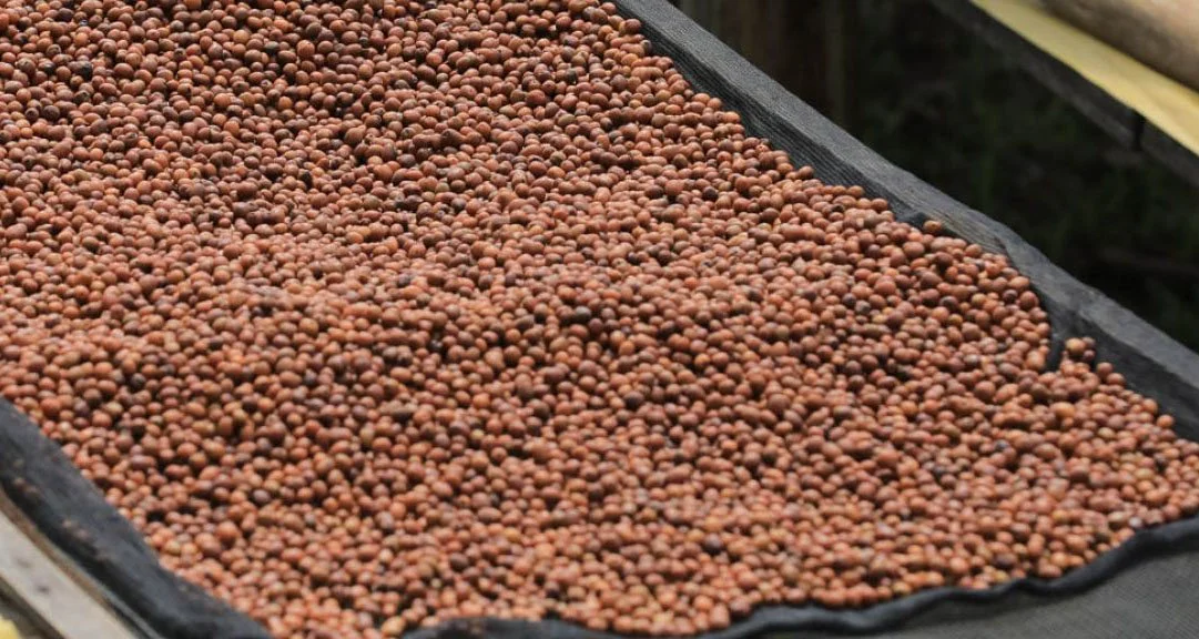 rwanda natural craigs coffee.jpg