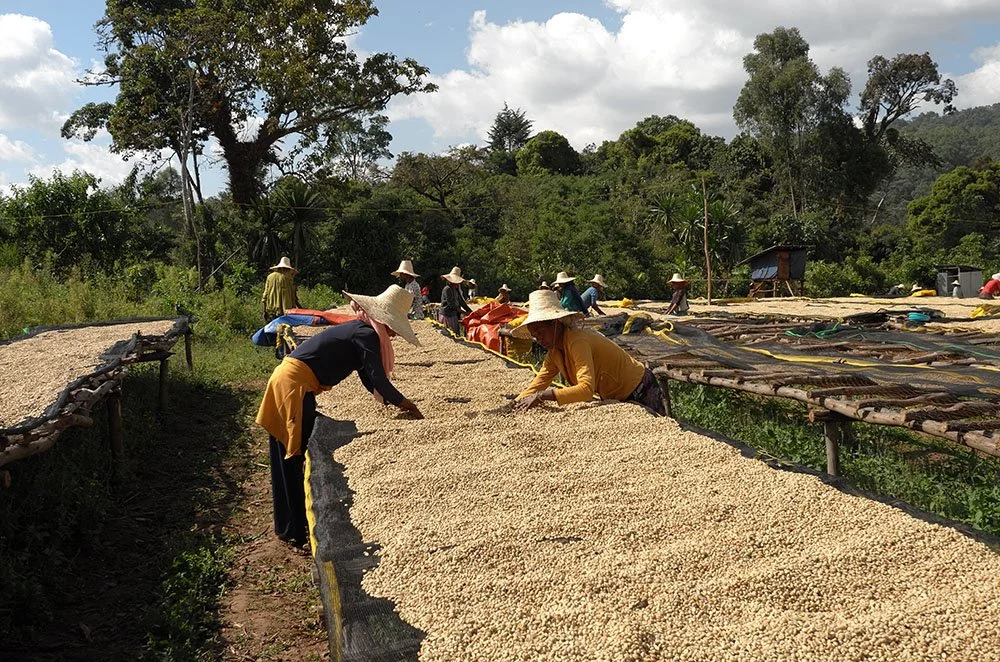 Ethiopia Genji Challa.jpg